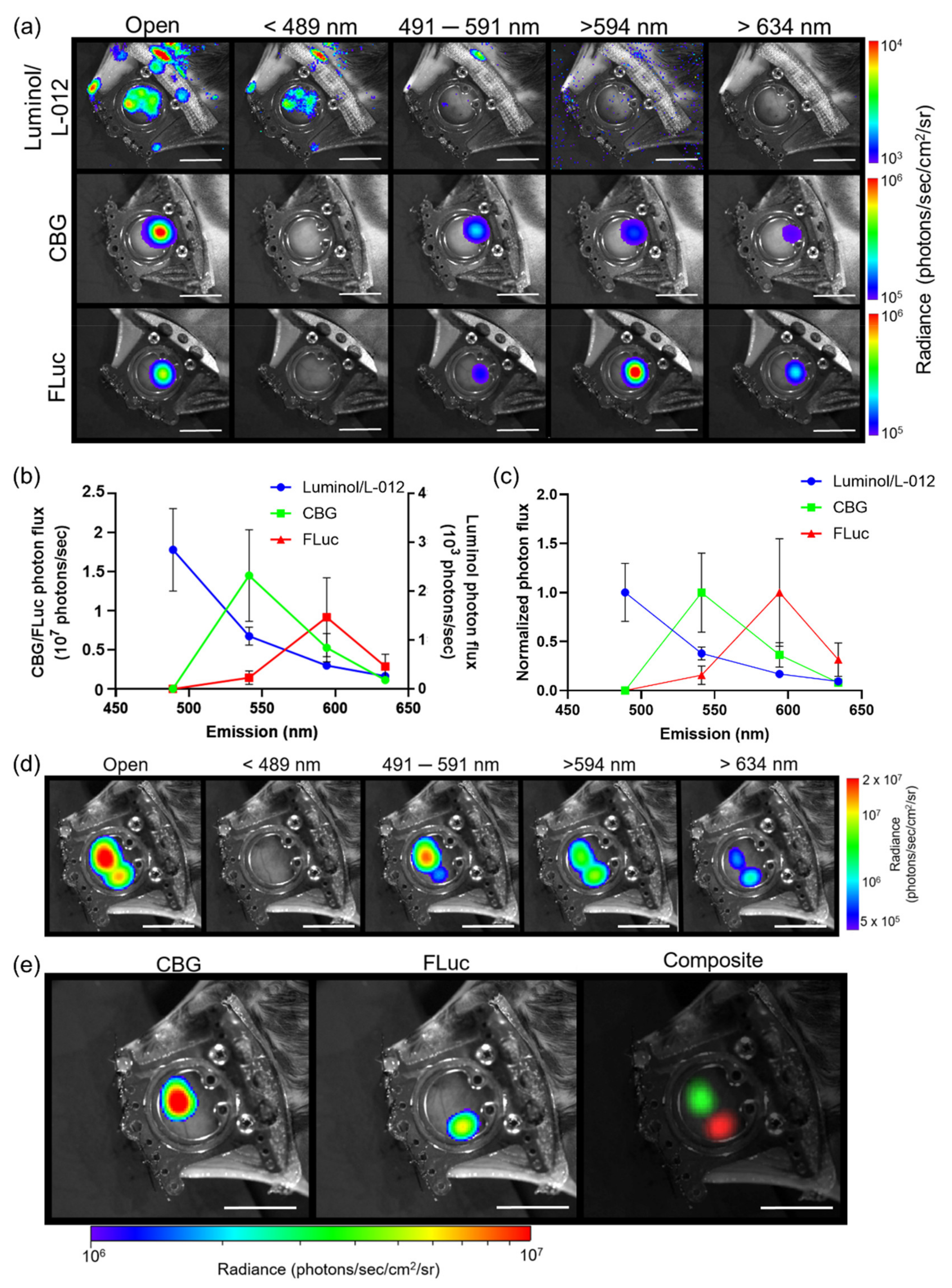 Cells 10 00489 g001 Cells 10 00489 g001