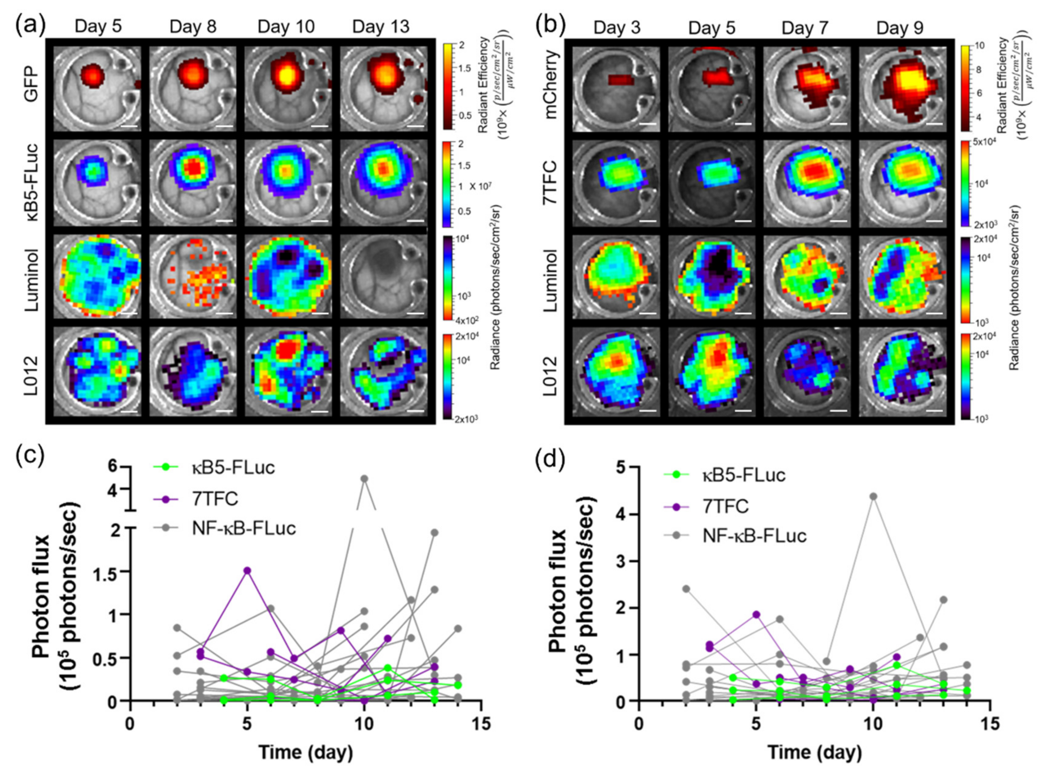 Cells 10 00489 g003 Cells 10 00489 g003