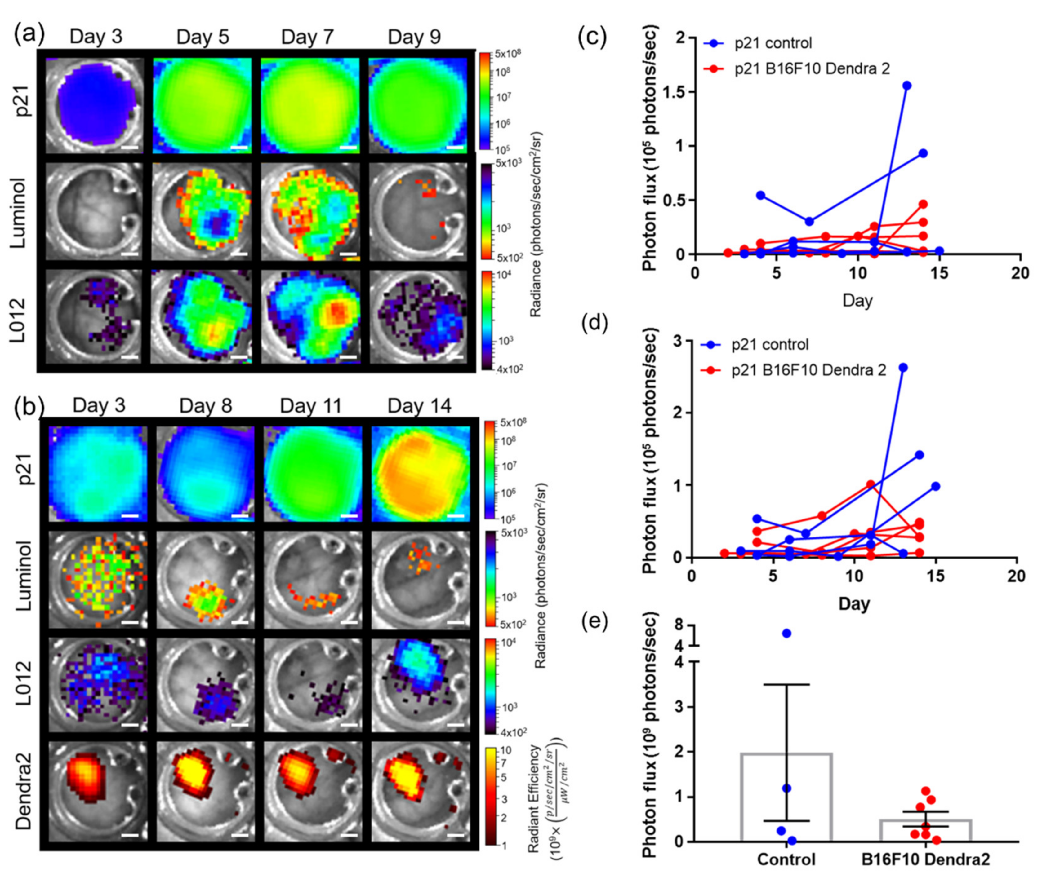 Cells 10 00489 g004 Cells 10 00489 g004