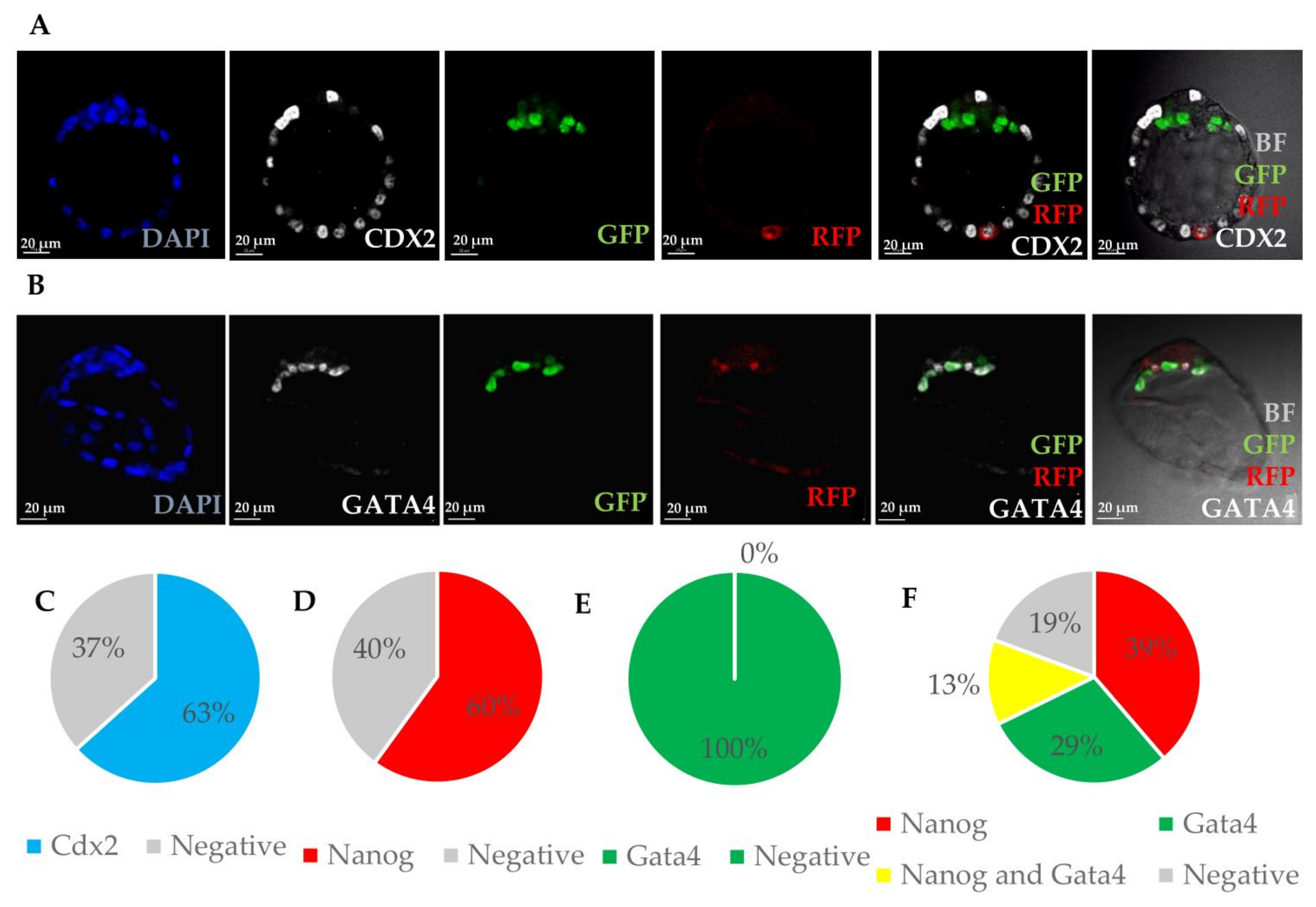 Cells 10 00490 g002 Cells 10 00490 g002