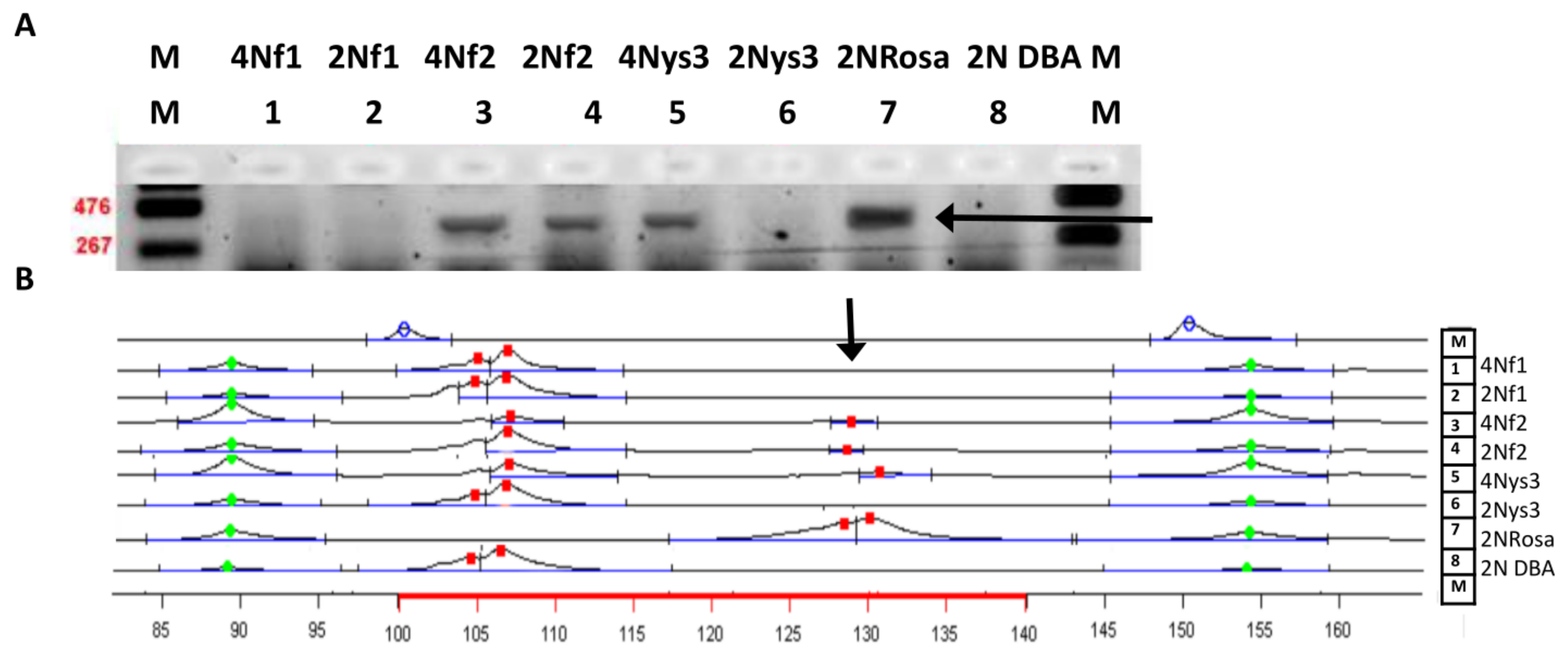 Cells 10 00490 g007 Cells 10 00490 g007