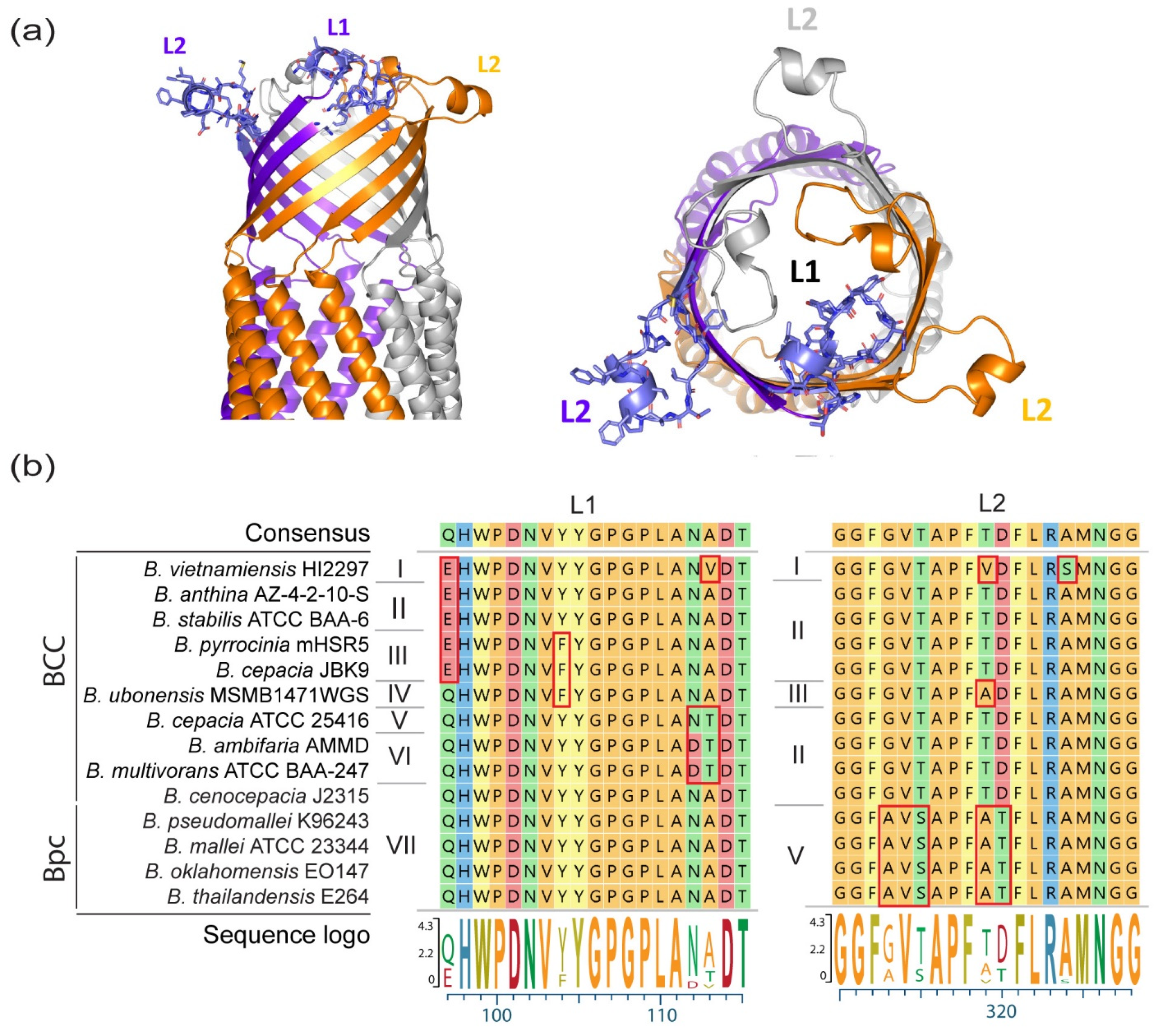 Cells 10 00495 g003 Cells 10 00495 g003