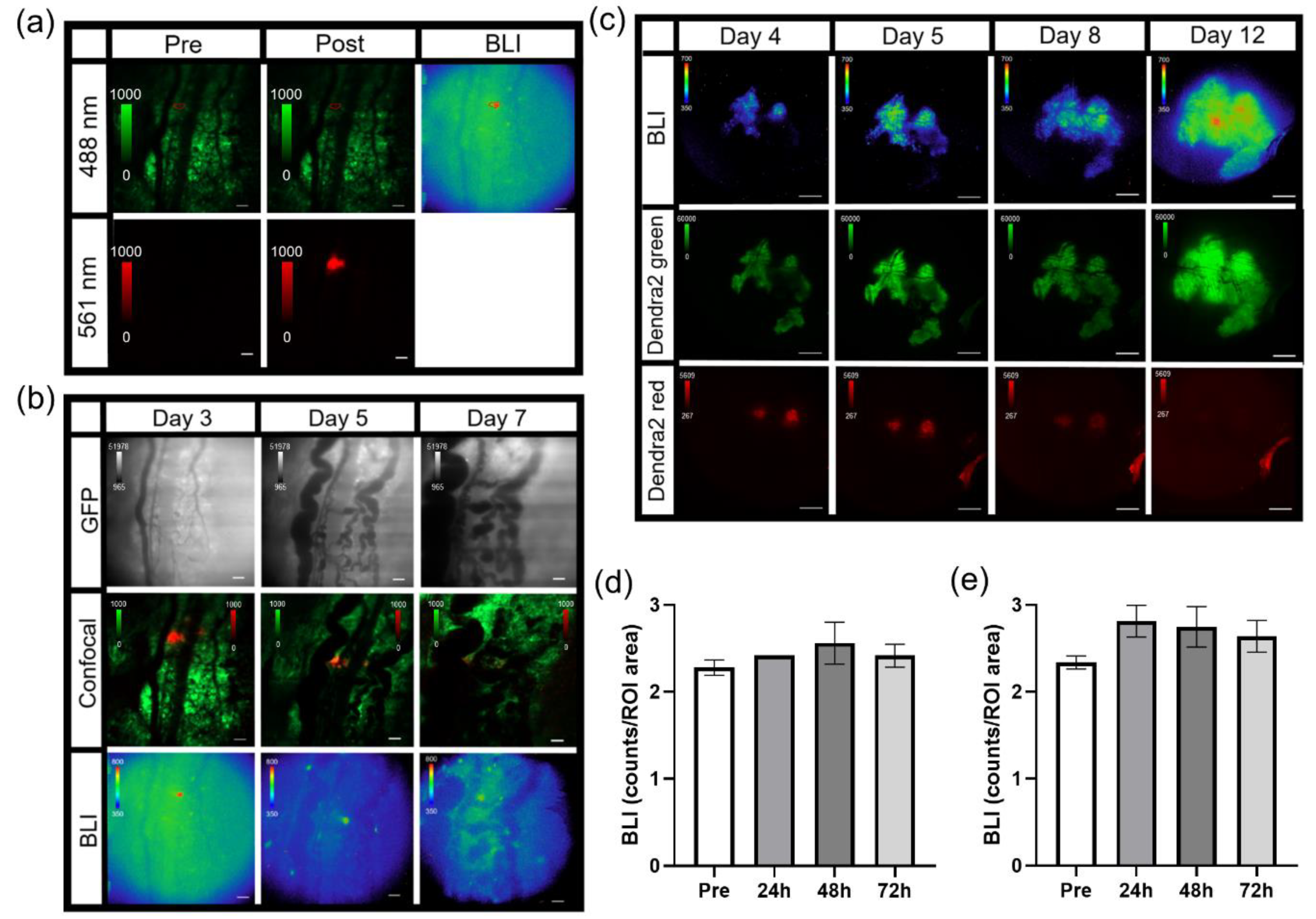 Cells Free Full Text Multi Modal Multi Spectral Intravital Microscopic Imaging Of Signaling Dynamics In Real Time During Tumor Immune Interactions Html