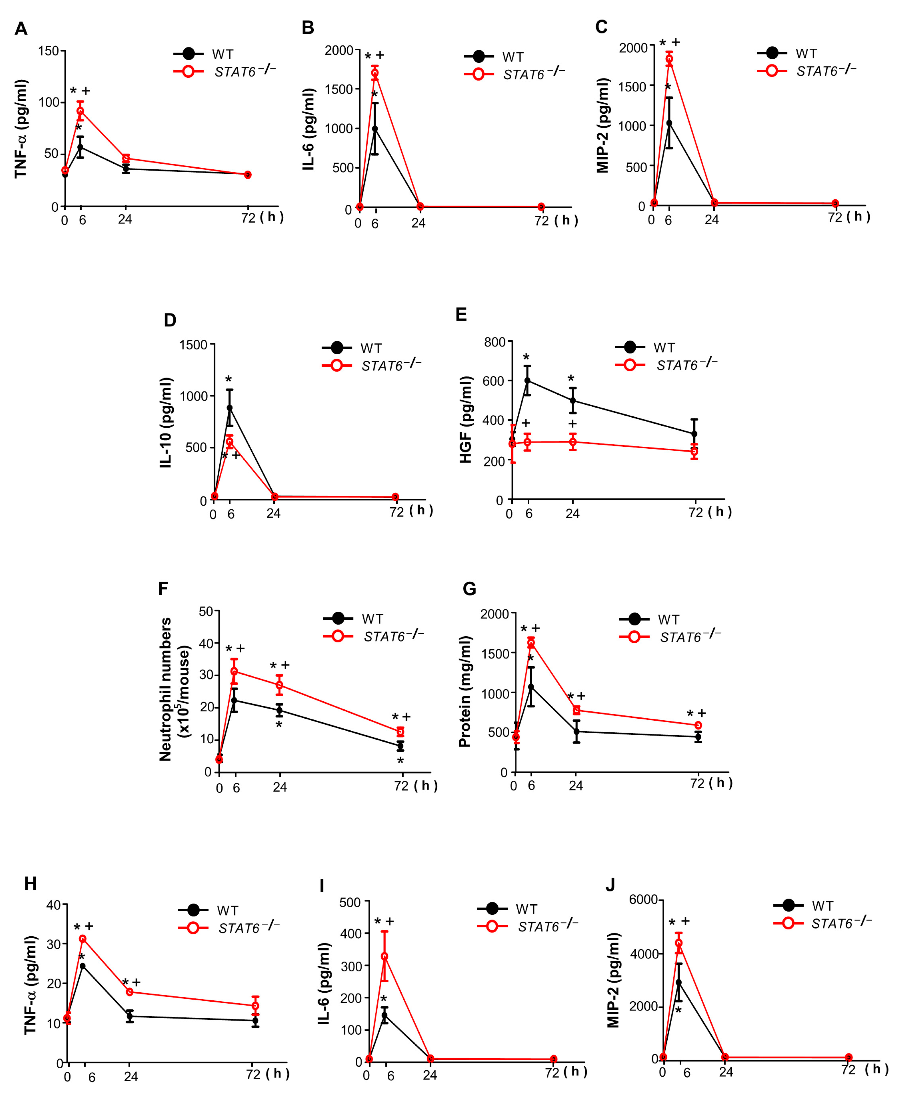 Cells 10 00501 g002 Cells 10 00501 g002