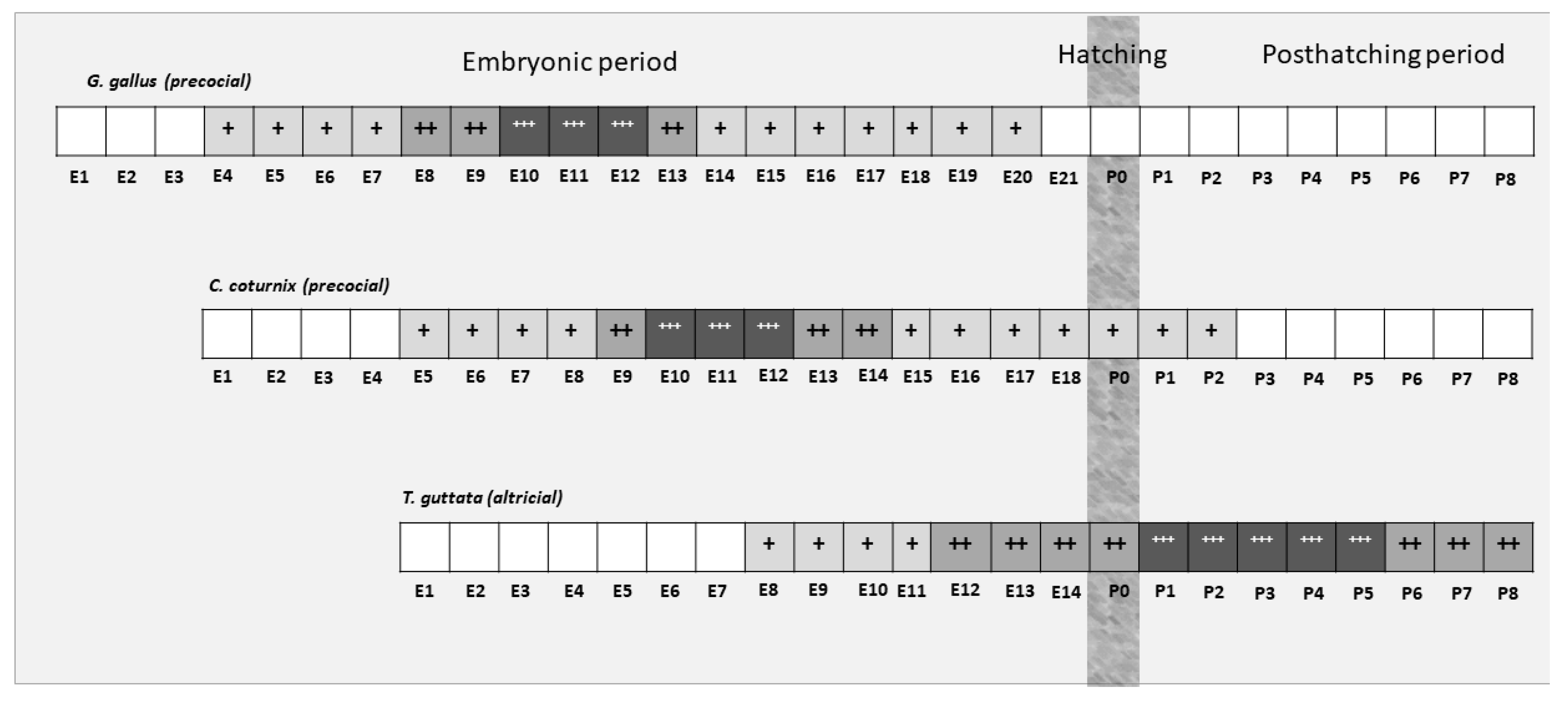 Cells 10 00504 g009 Cells 10 00504 g009