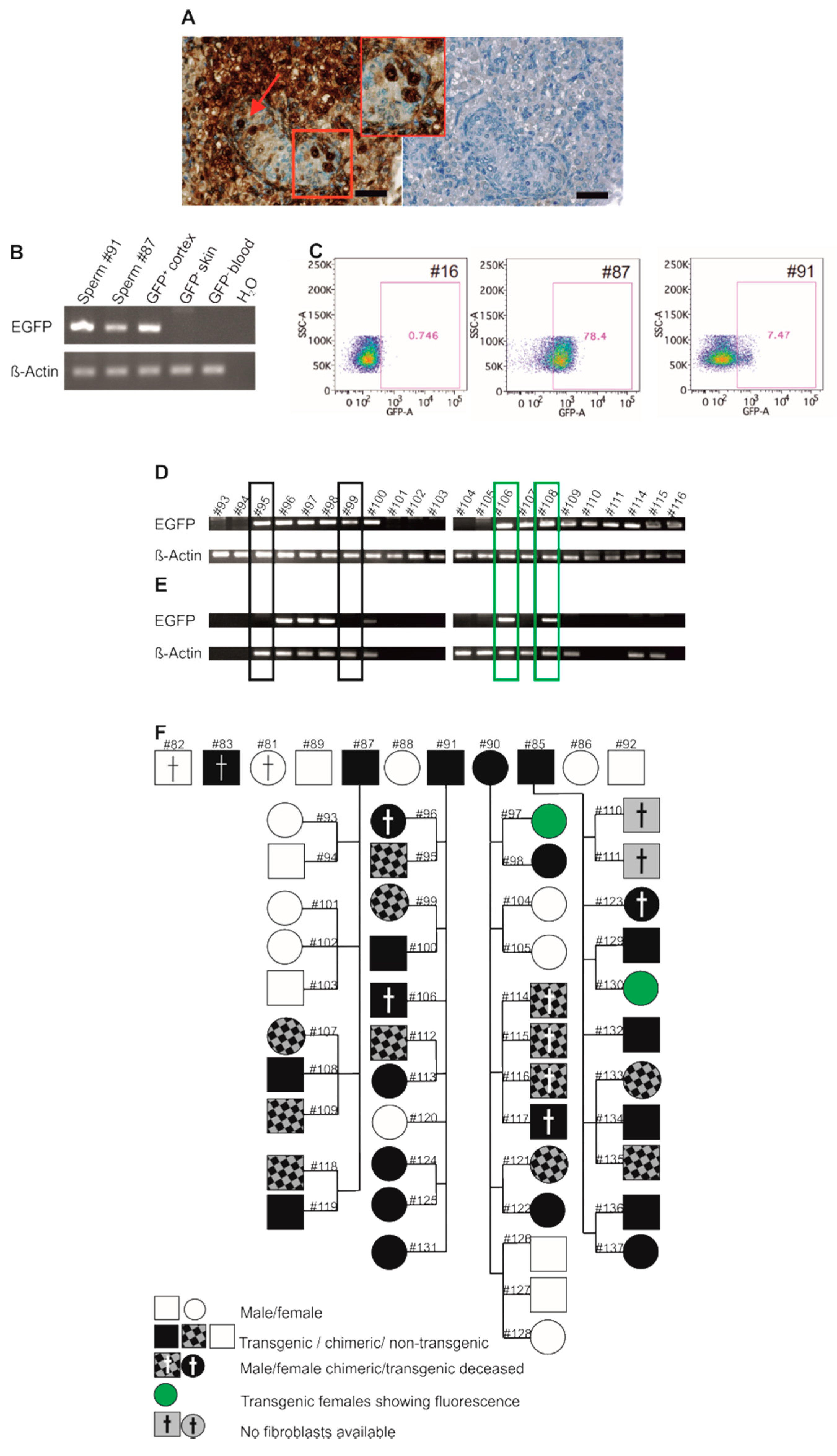 Cells 10 00505 g005