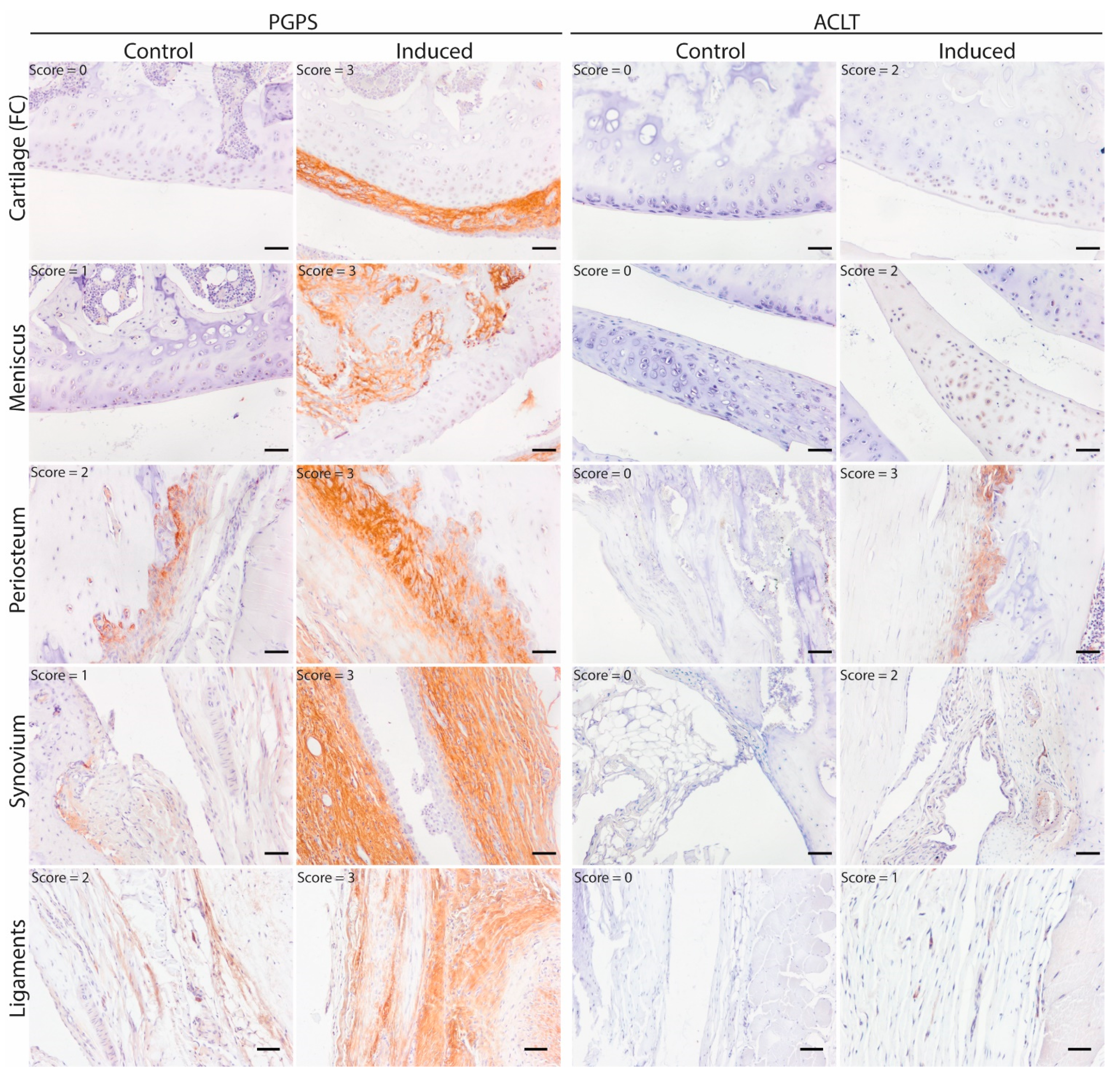 Cells 10 00508 g001 Cells 10 00508 g001