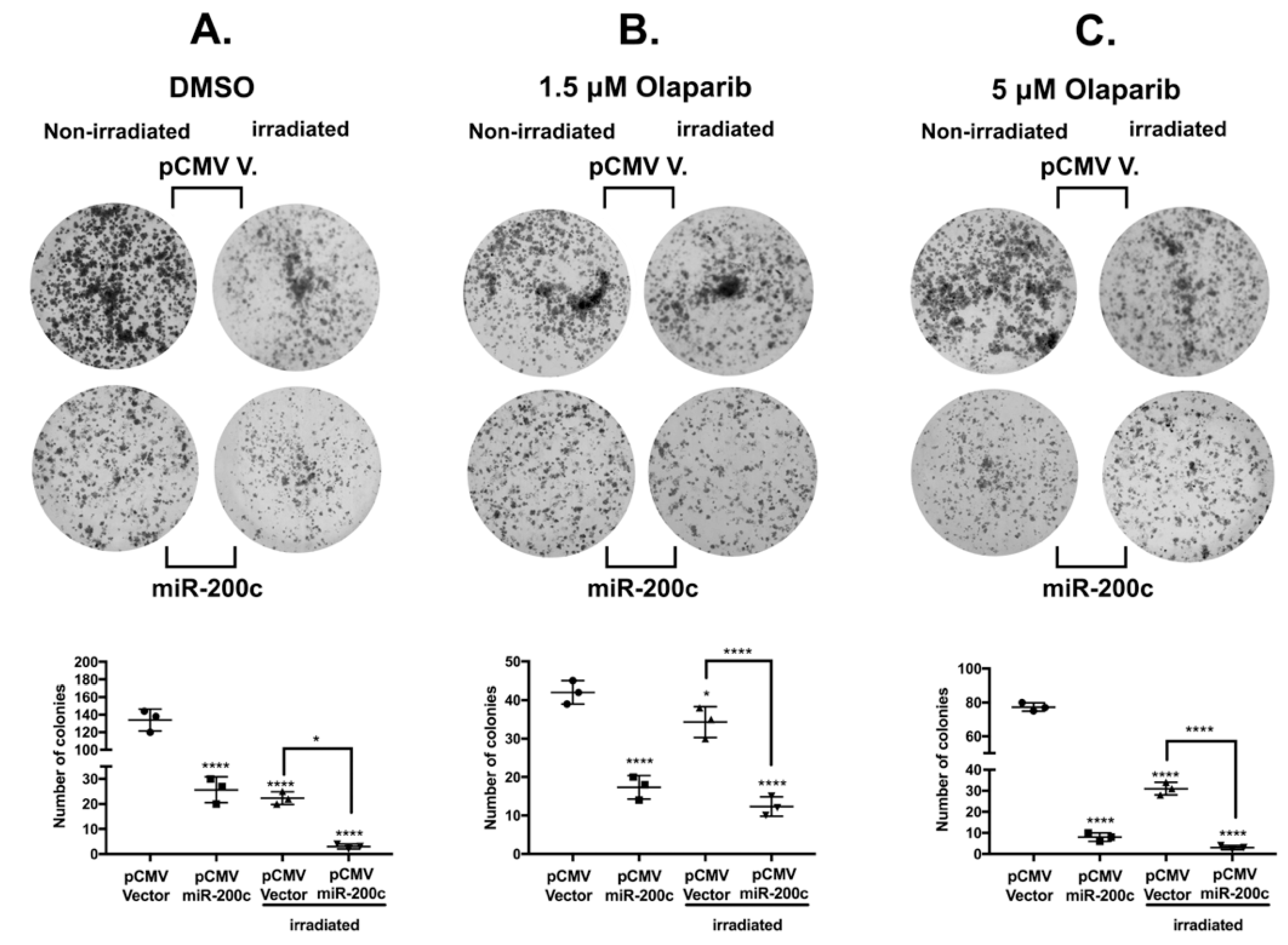 Cells 10 00519 g006 Cells 10 00519 g006
