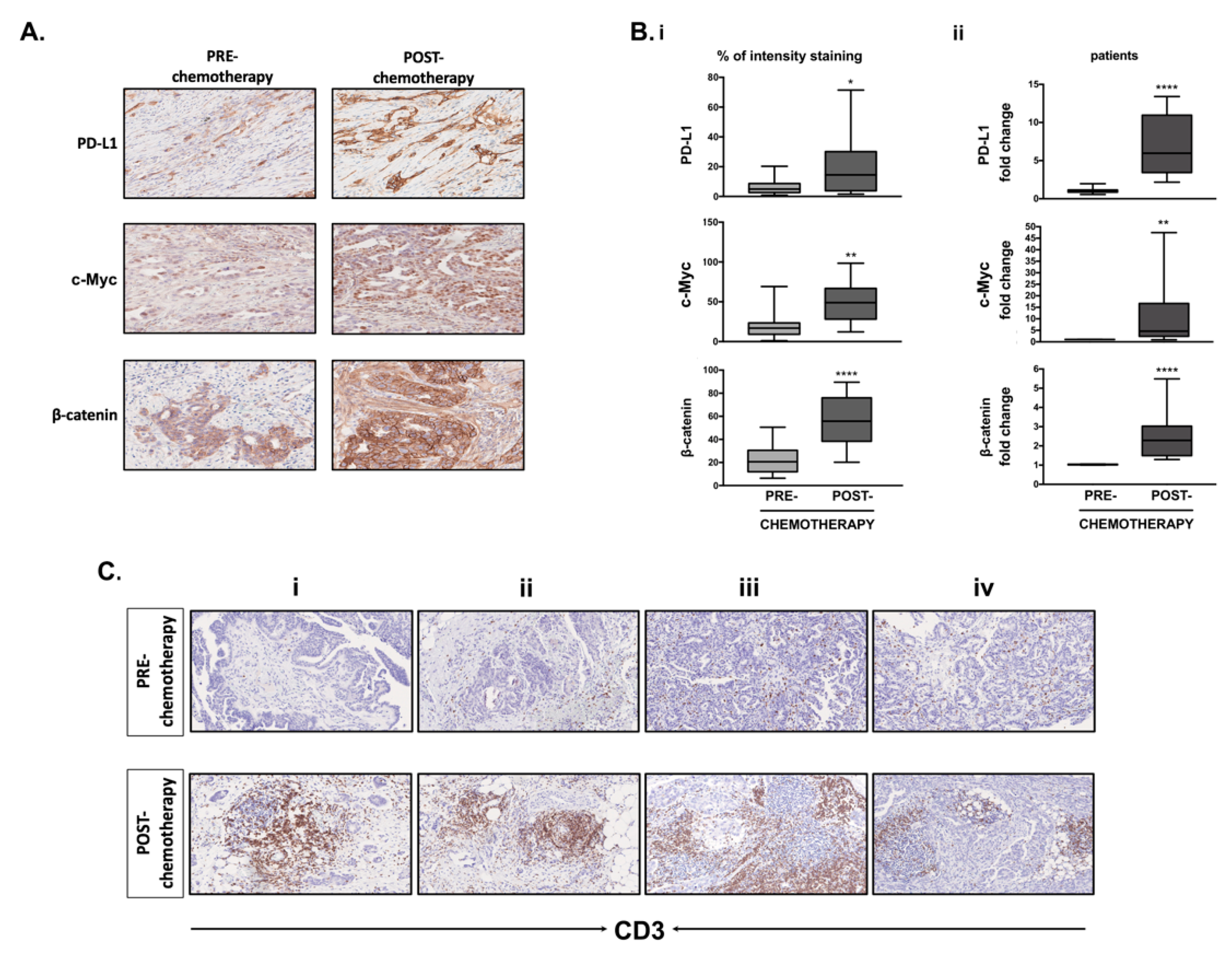 Cells 10 00519 g008 Cells 10 00519 g008