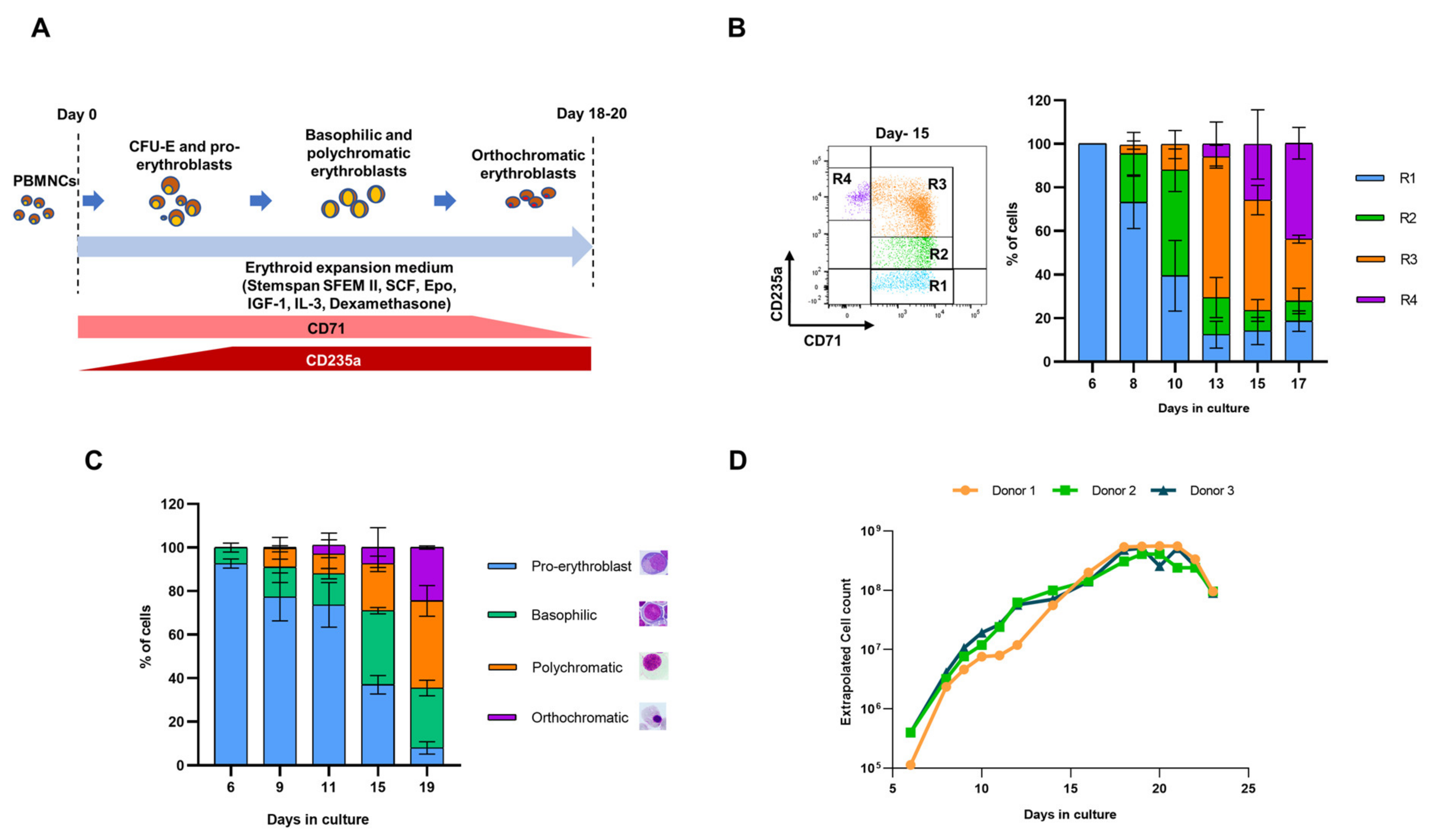 Cells 10 00523 g001 Cells 10 00523 g001