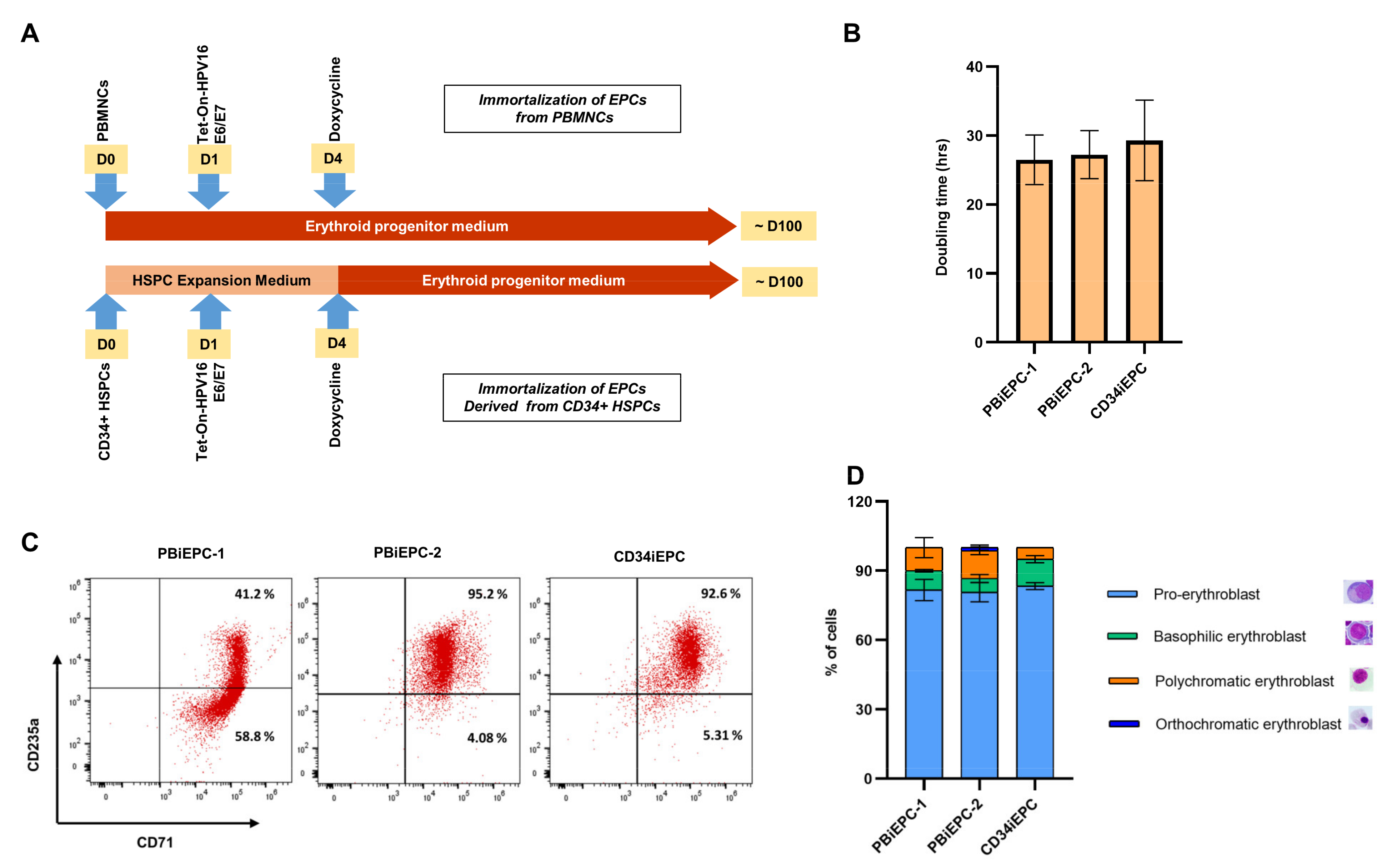 Cells 10 00523 g002 Cells 10 00523 g002