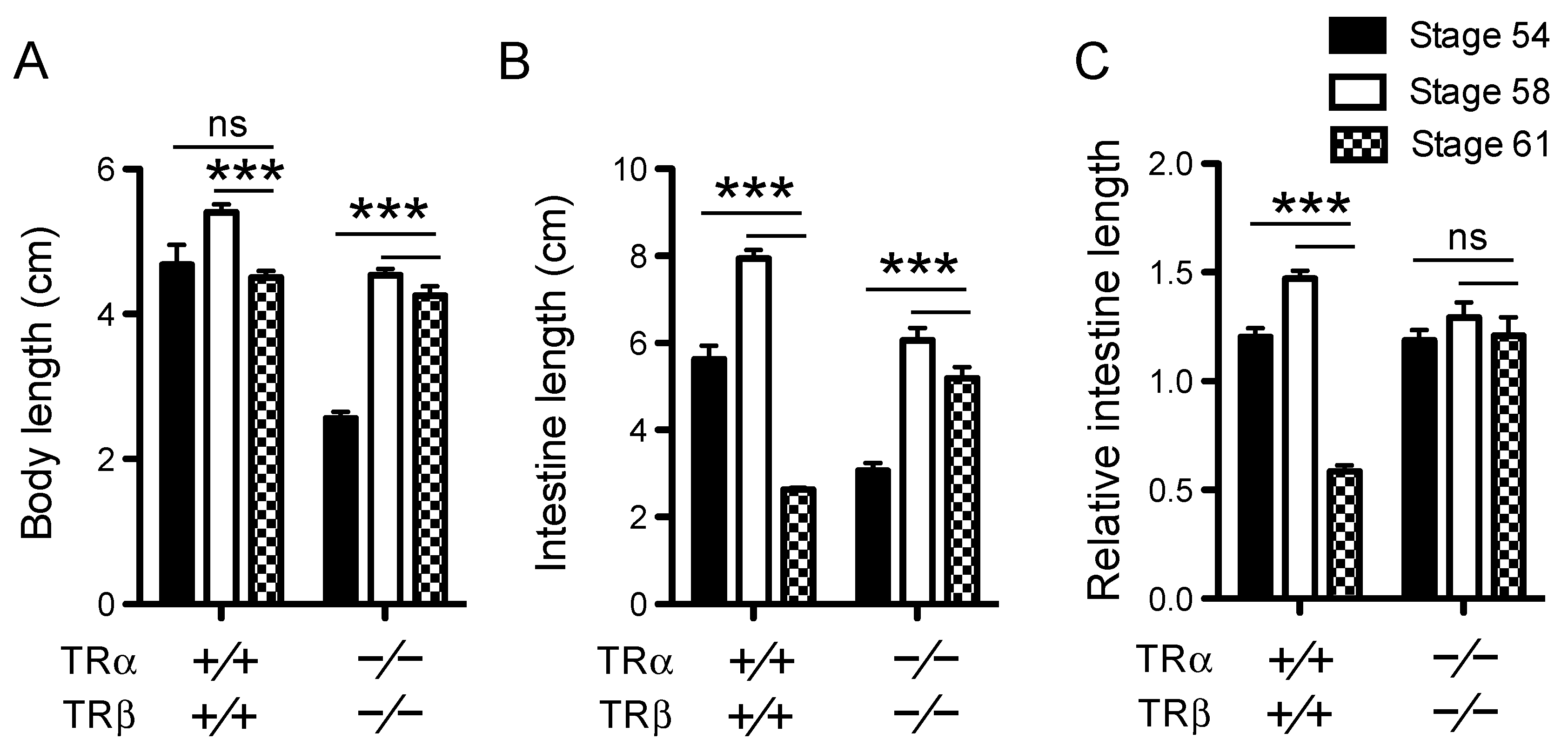 Cells 10 00536 g001 Cells 10 00536 g001
