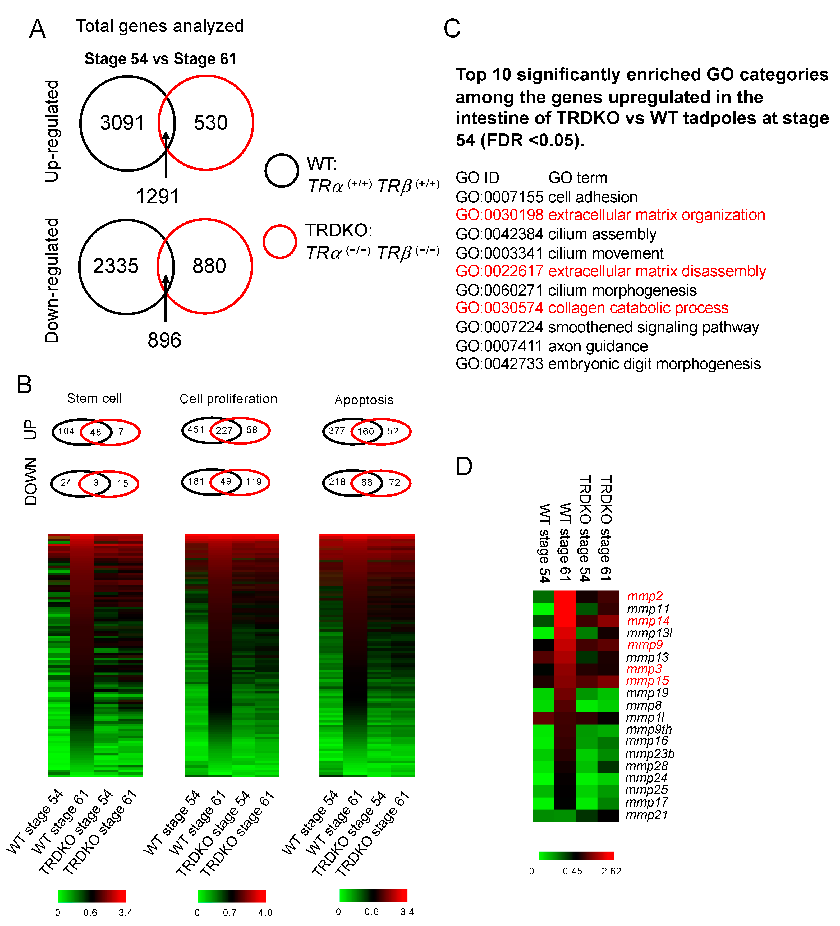 Cells 10 00536 g006 Cells 10 00536 g006