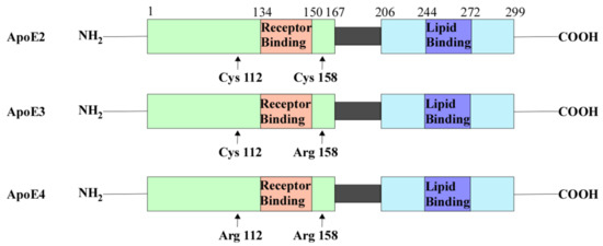 An Analysis of the Neurological and Molecular Alterations