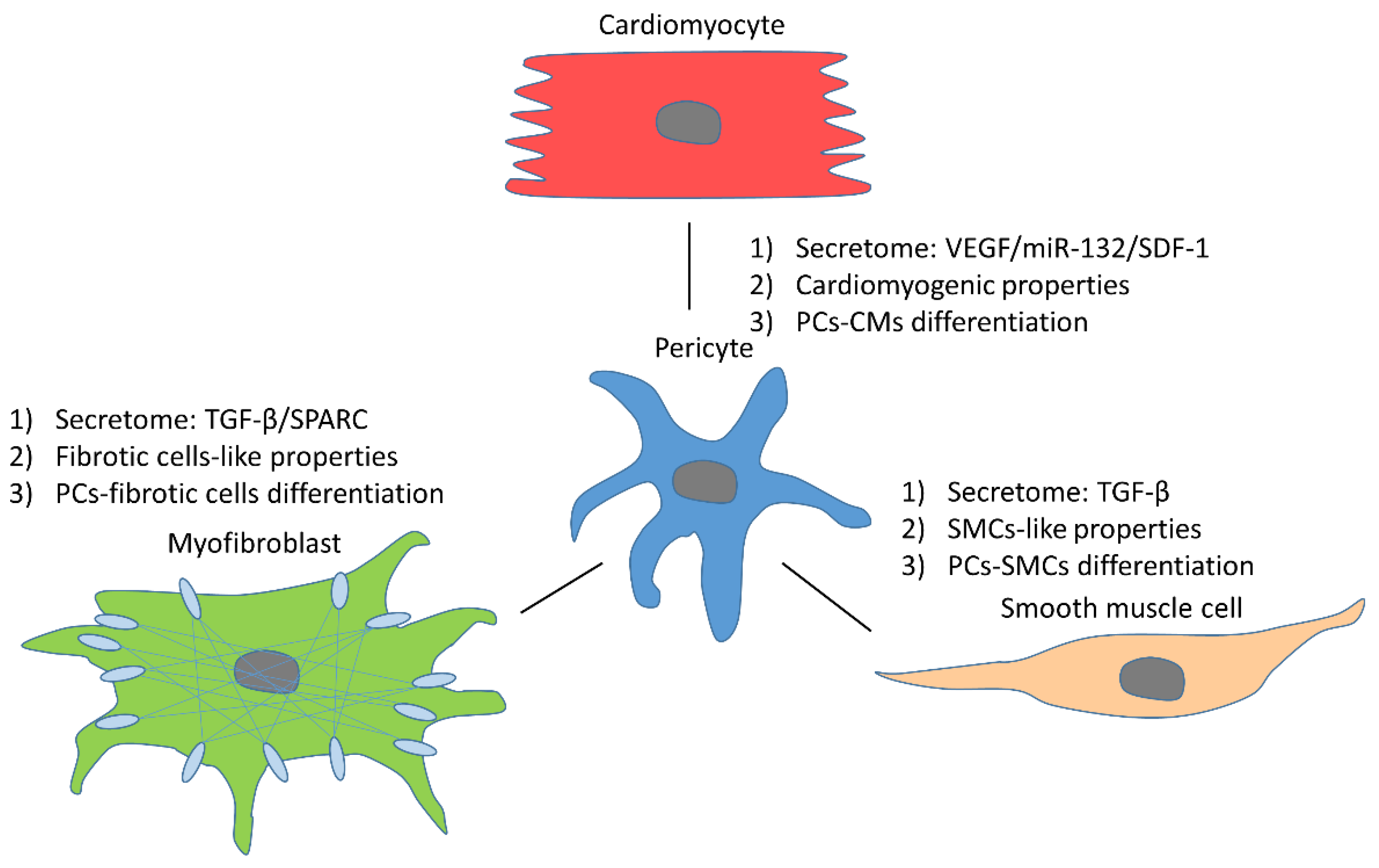 Cells 10 00548 g002 Cells 10 00548 g002
