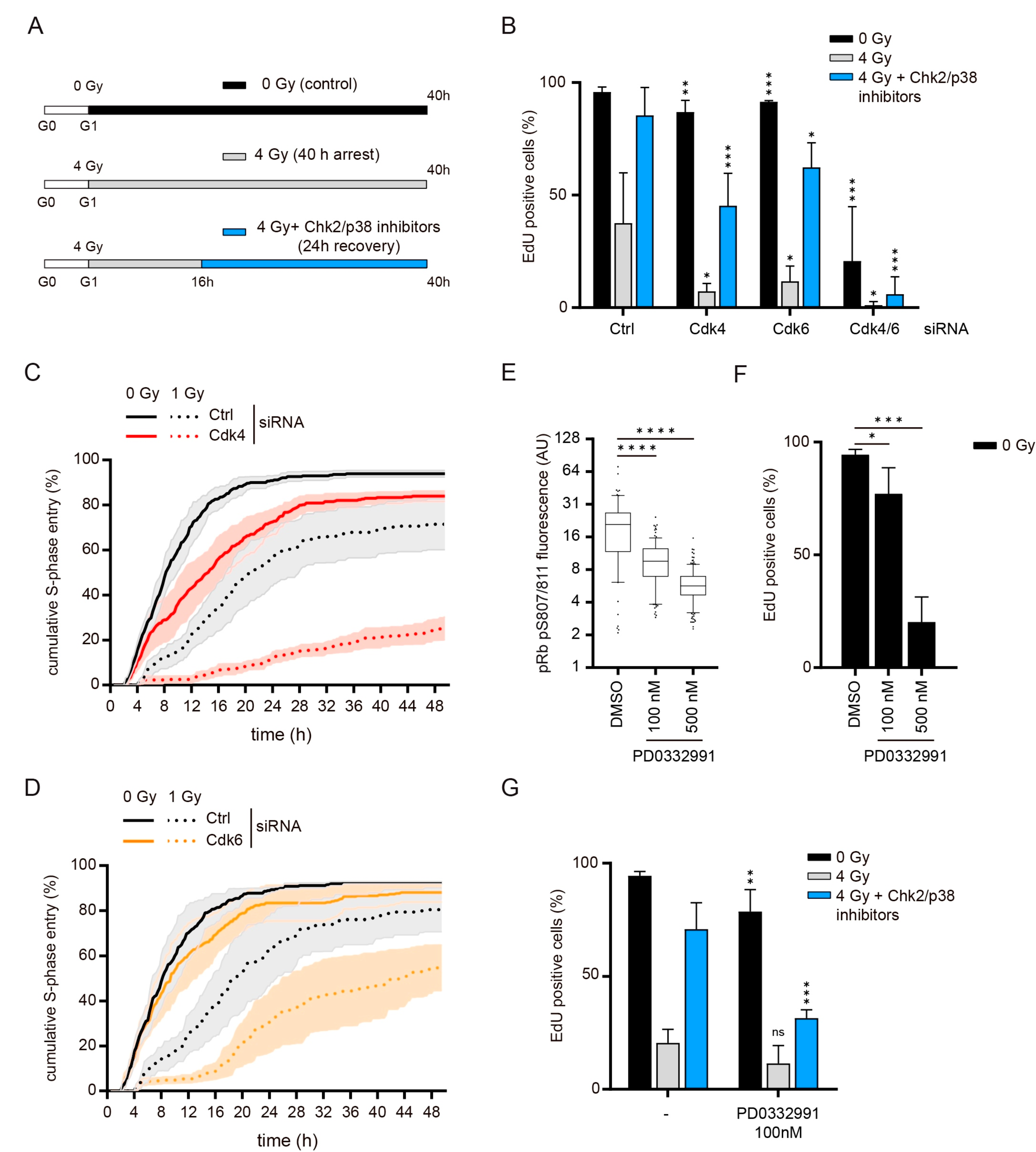 Cells 10 00550 g001 Cells 10 00550 g001