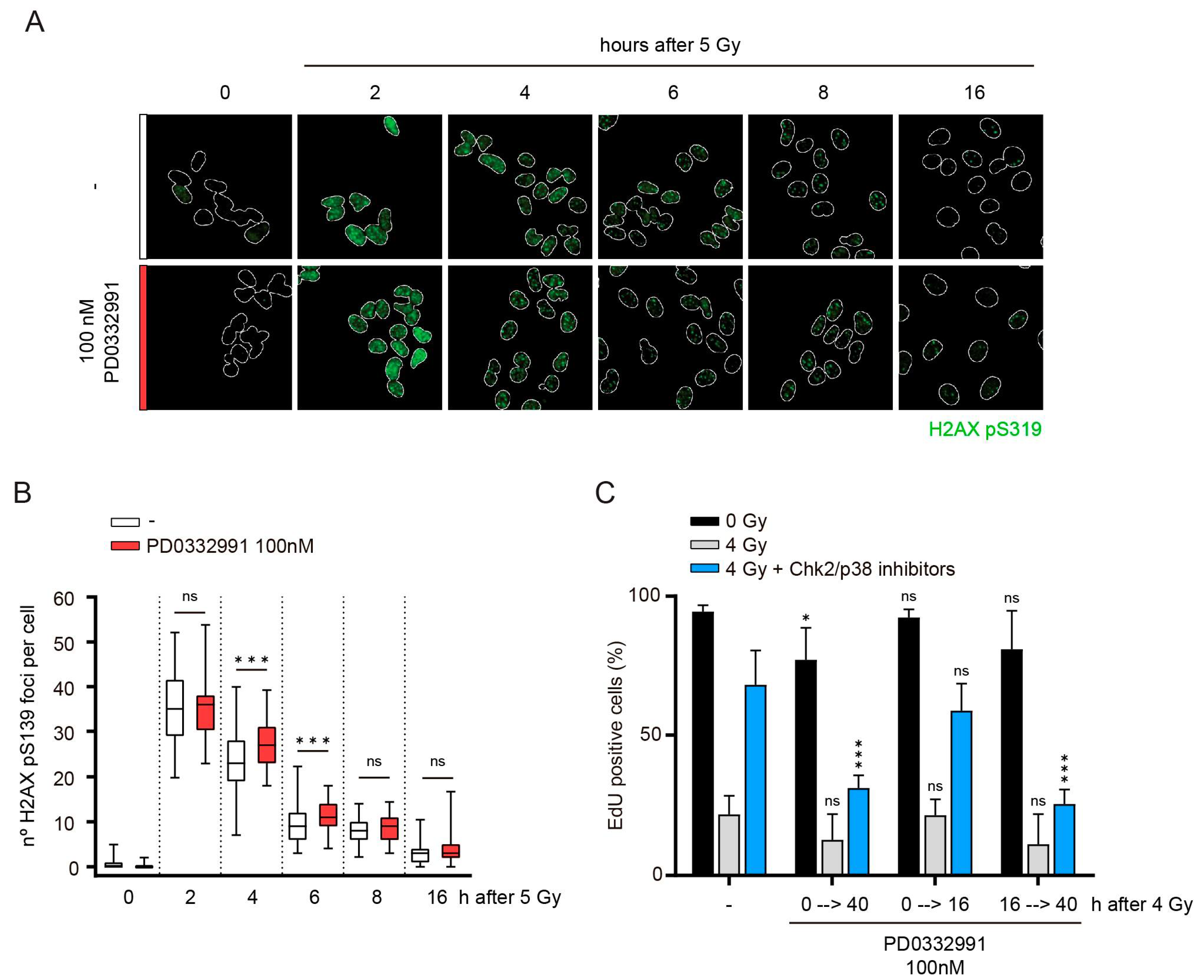 Cells 10 00550 g002 Cells 10 00550 g002