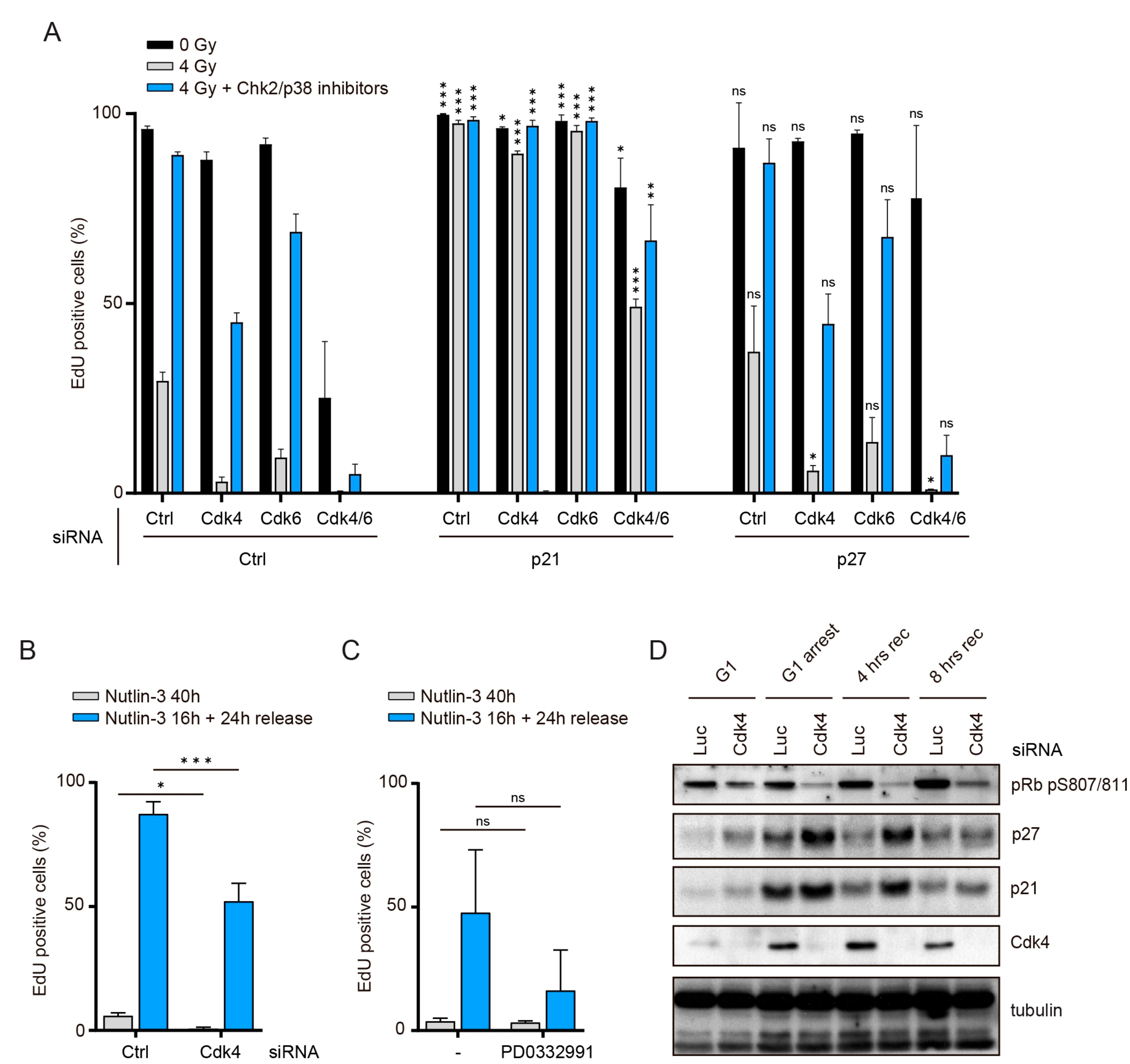 Cells 10 00550 g003 Cells 10 00550 g003