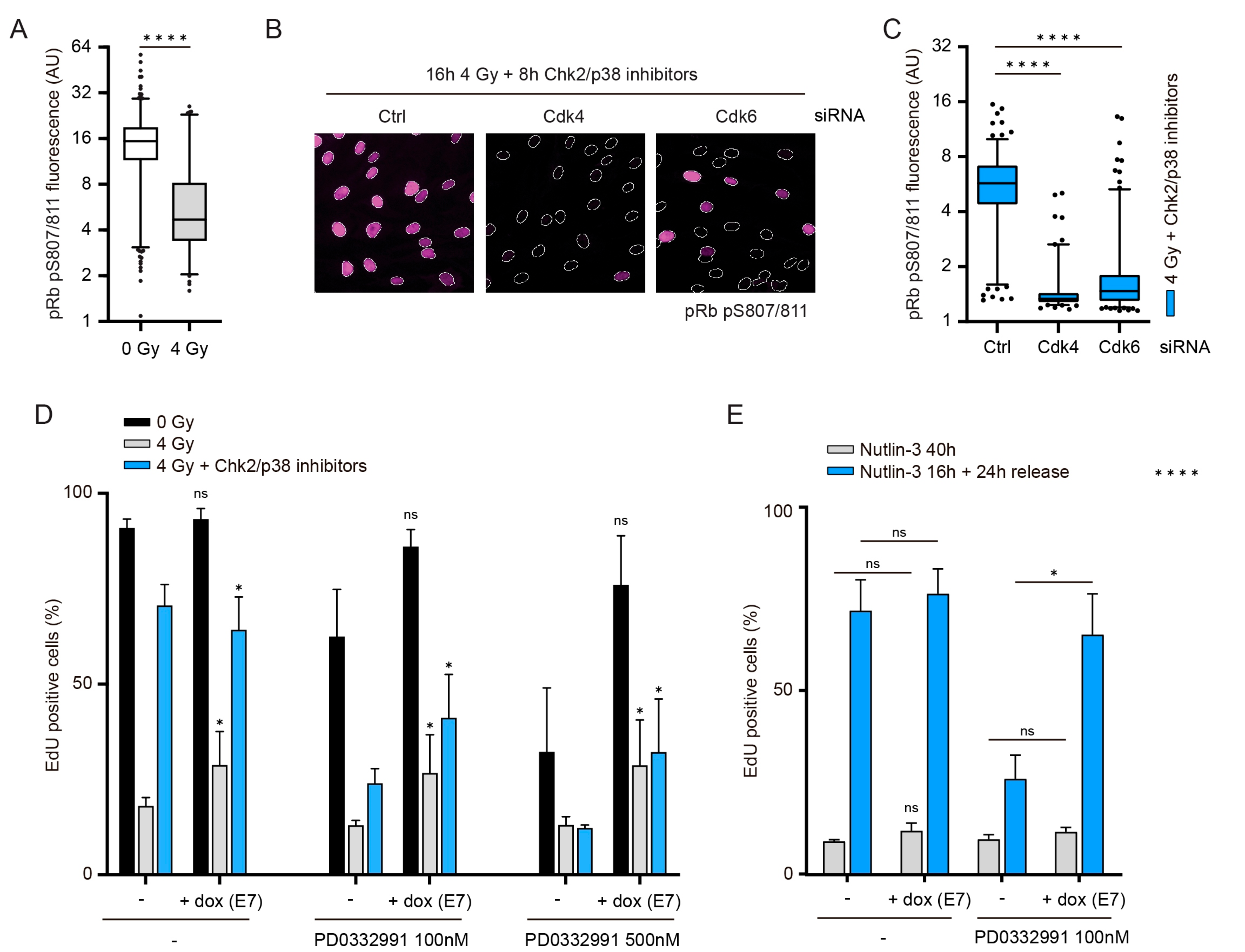 Cells 10 00550 g004 Cells 10 00550 g004