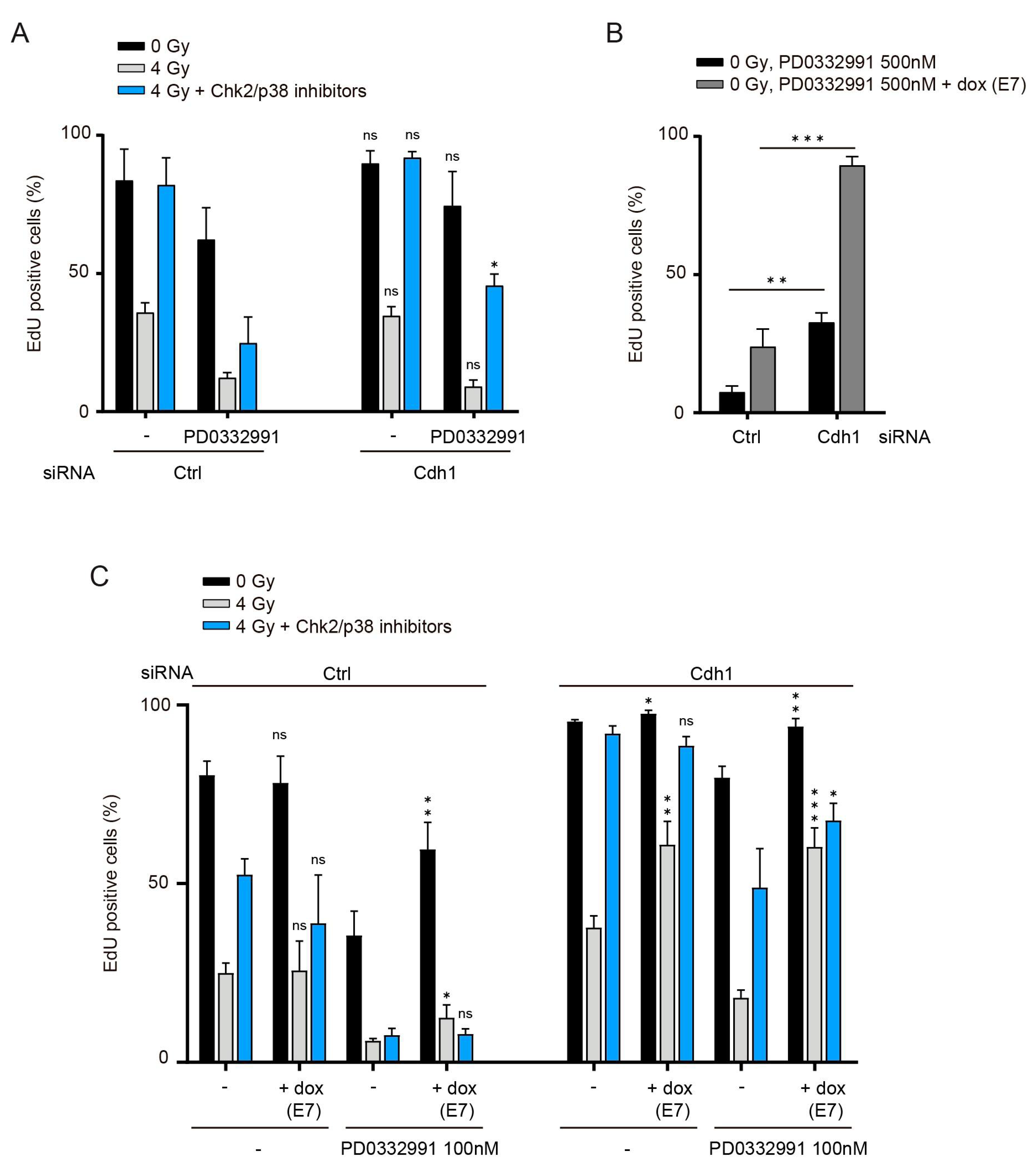 Cells 10 00550 g005 Cells 10 00550 g005