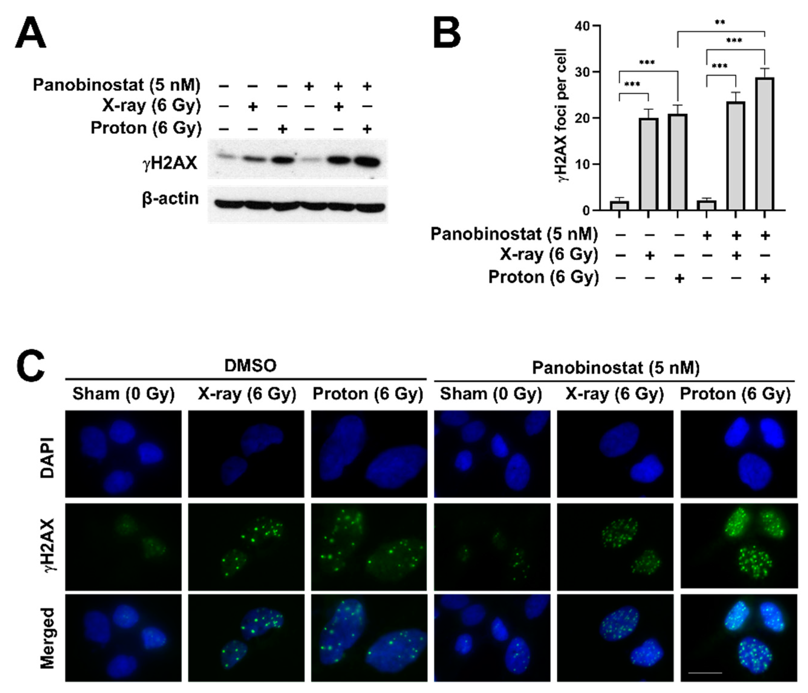 Cells 10 00554 g004 Cells 10 00554 g004