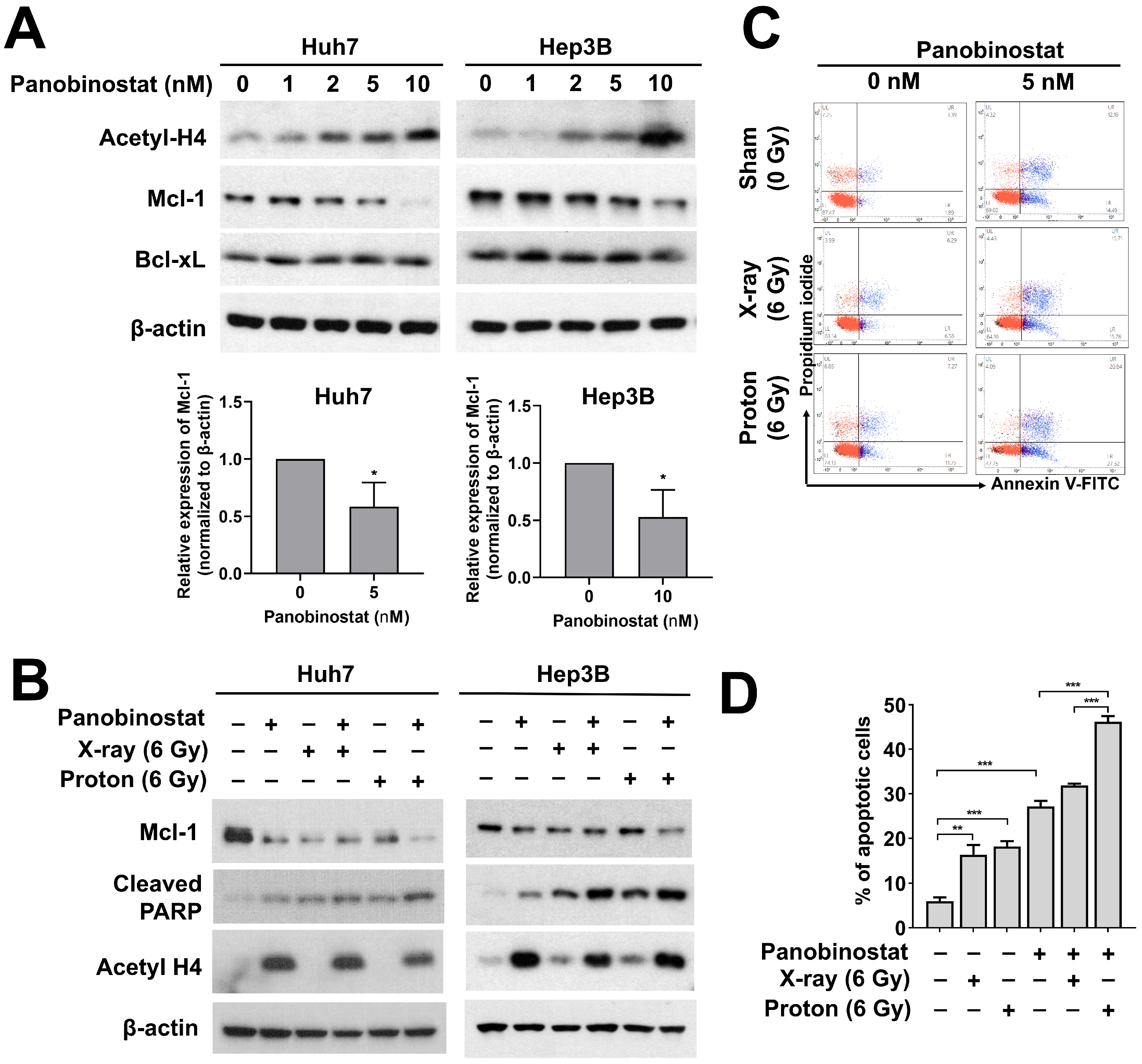 Cells 10 00554 g005 Cells 10 00554 g005