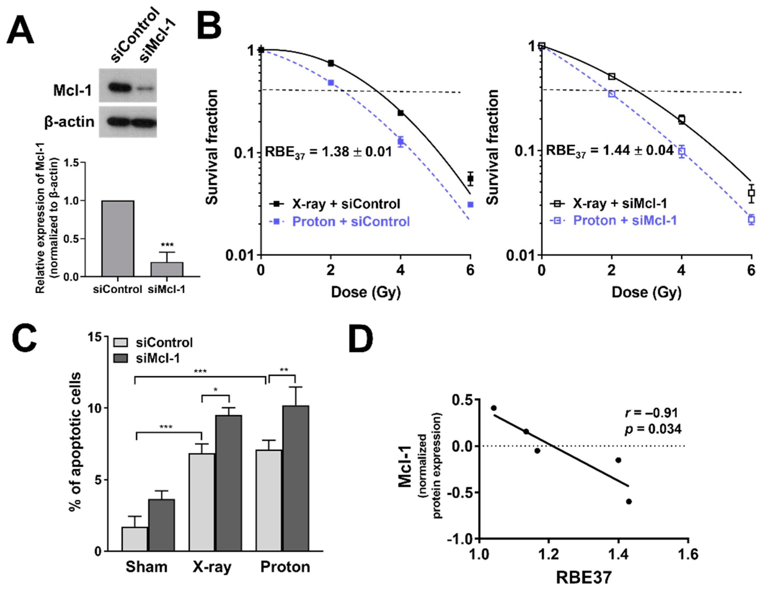 Cells 10 00554 g006 Cells 10 00554 g006