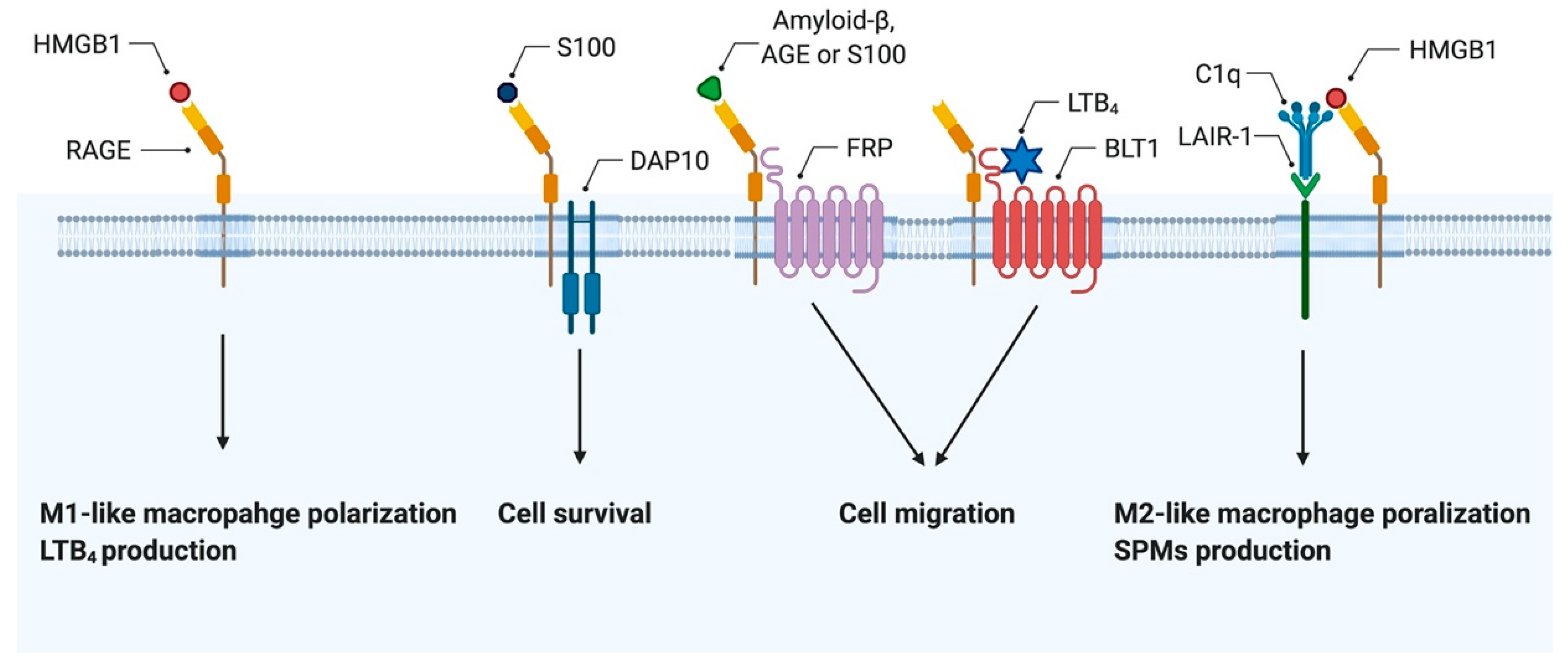 Cells 10 00564 g003 Cells 10 00564 g003