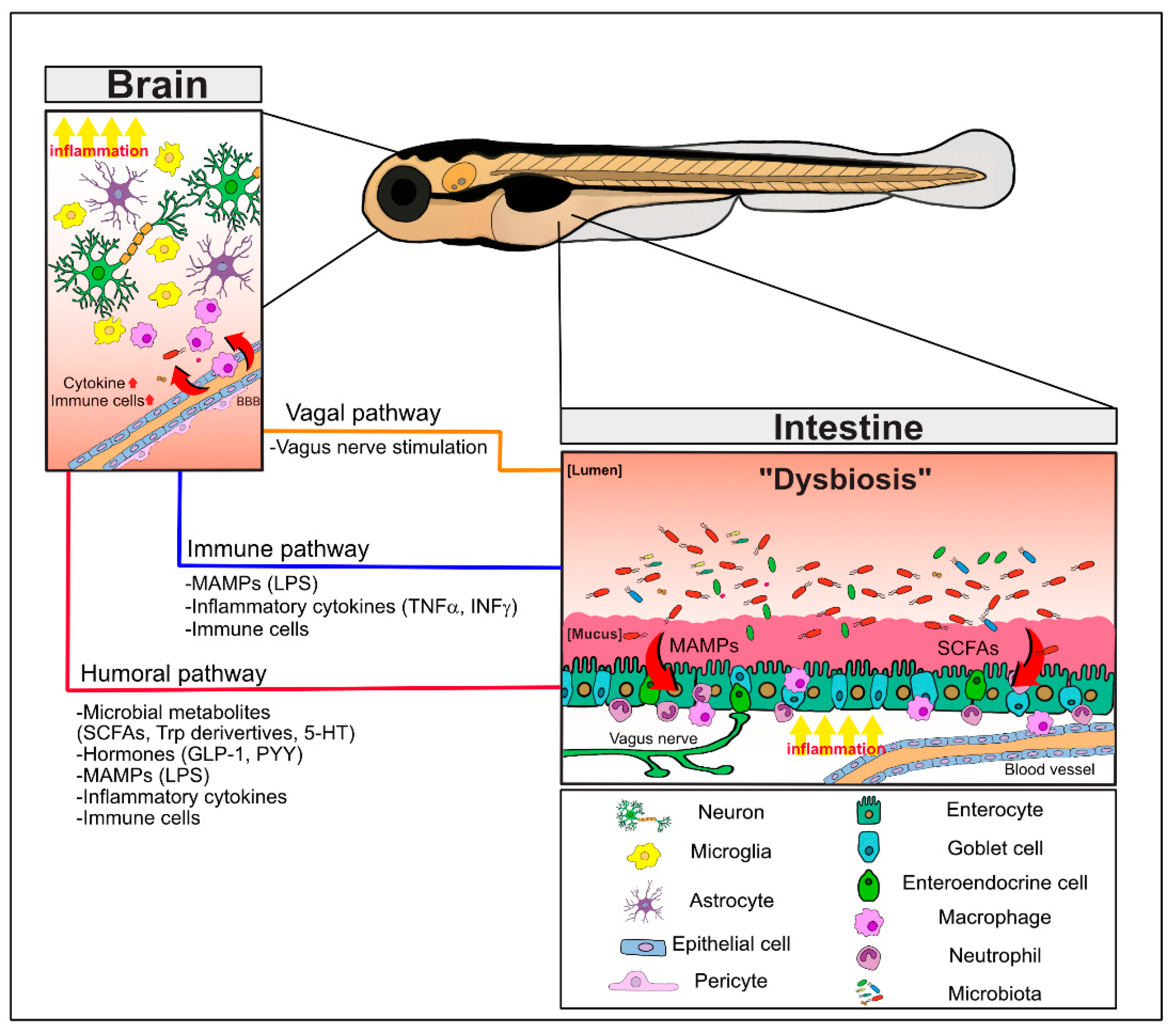 Cells 10 00566 g001 Cells 10 00566 g001