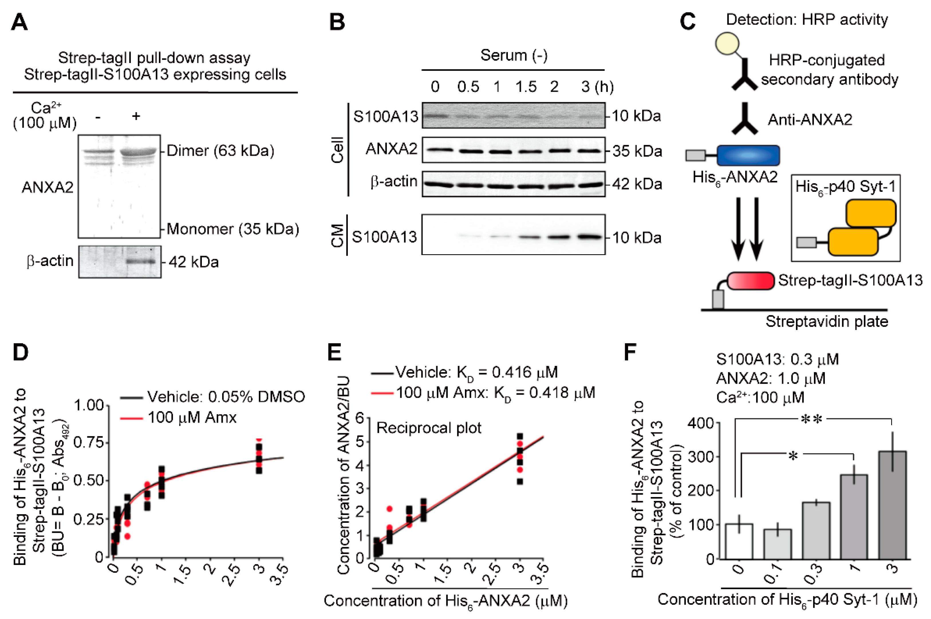 Cells 10 00567 g001 Cells 10 00567 g001