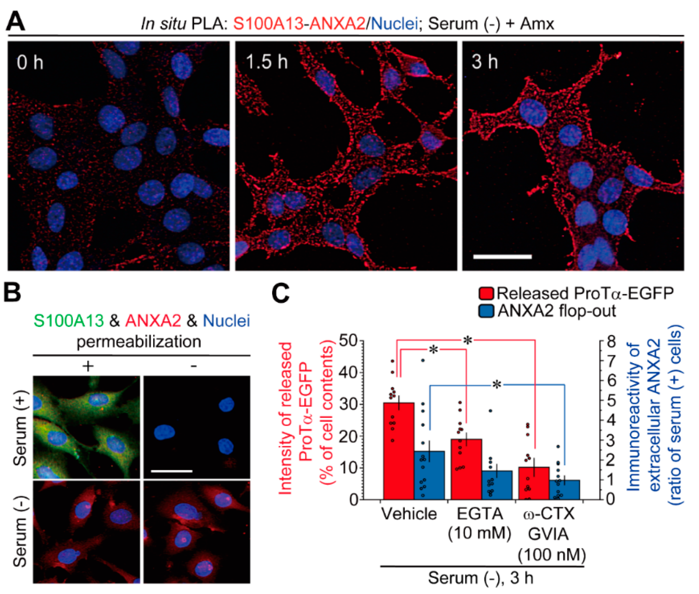 Cells 10 00567 g002 Cells 10 00567 g002