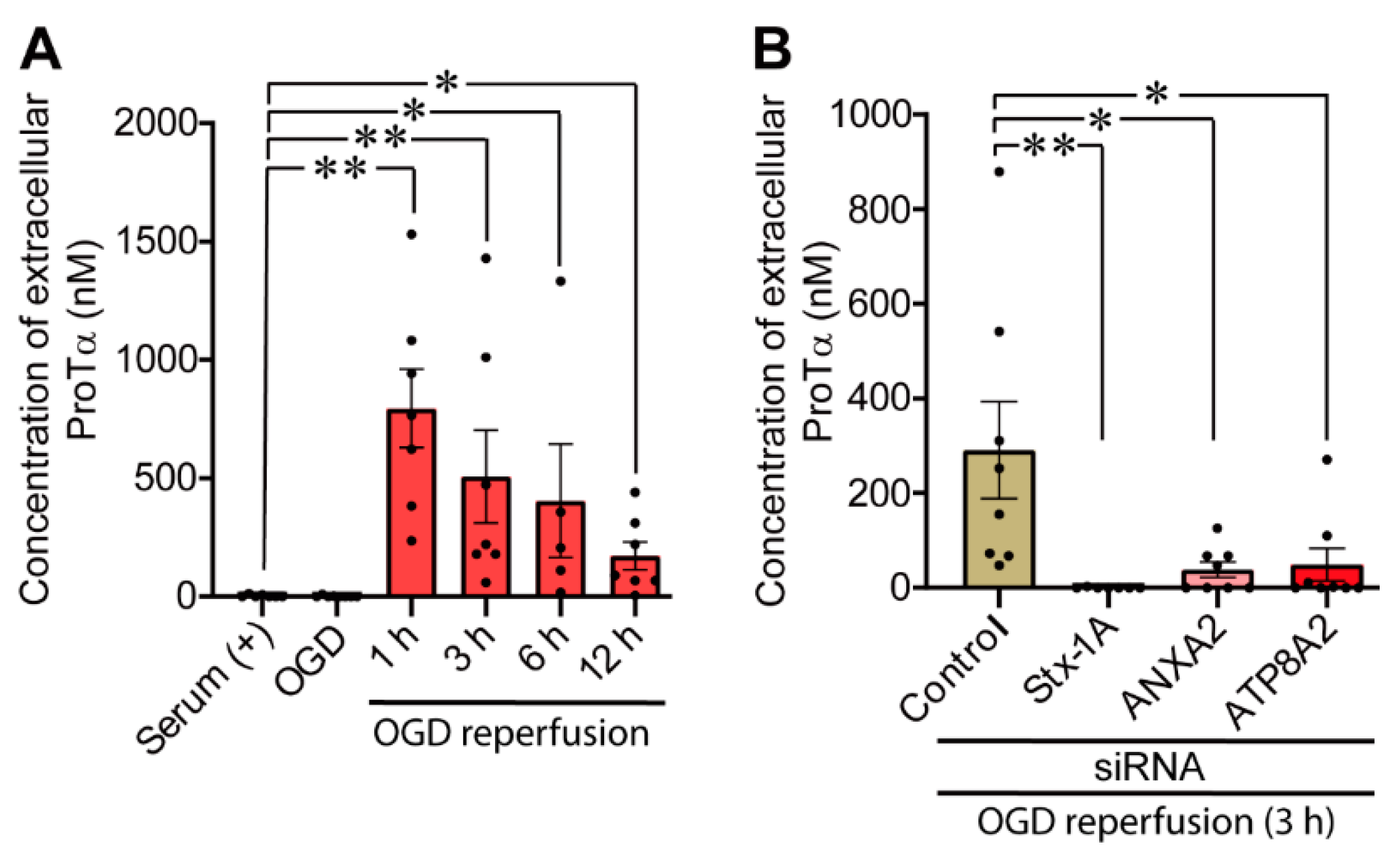 Cells 10 00567 g005 Cells 10 00567 g005