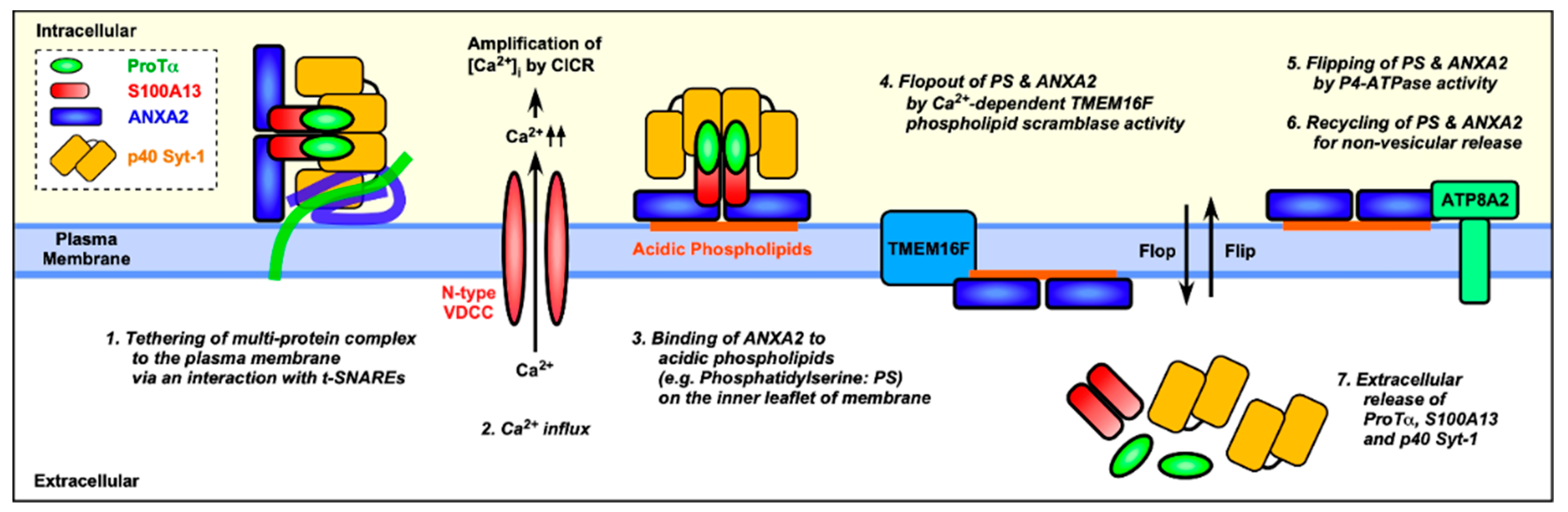 Cells 10 00567 g006 Cells 10 00567 g006
