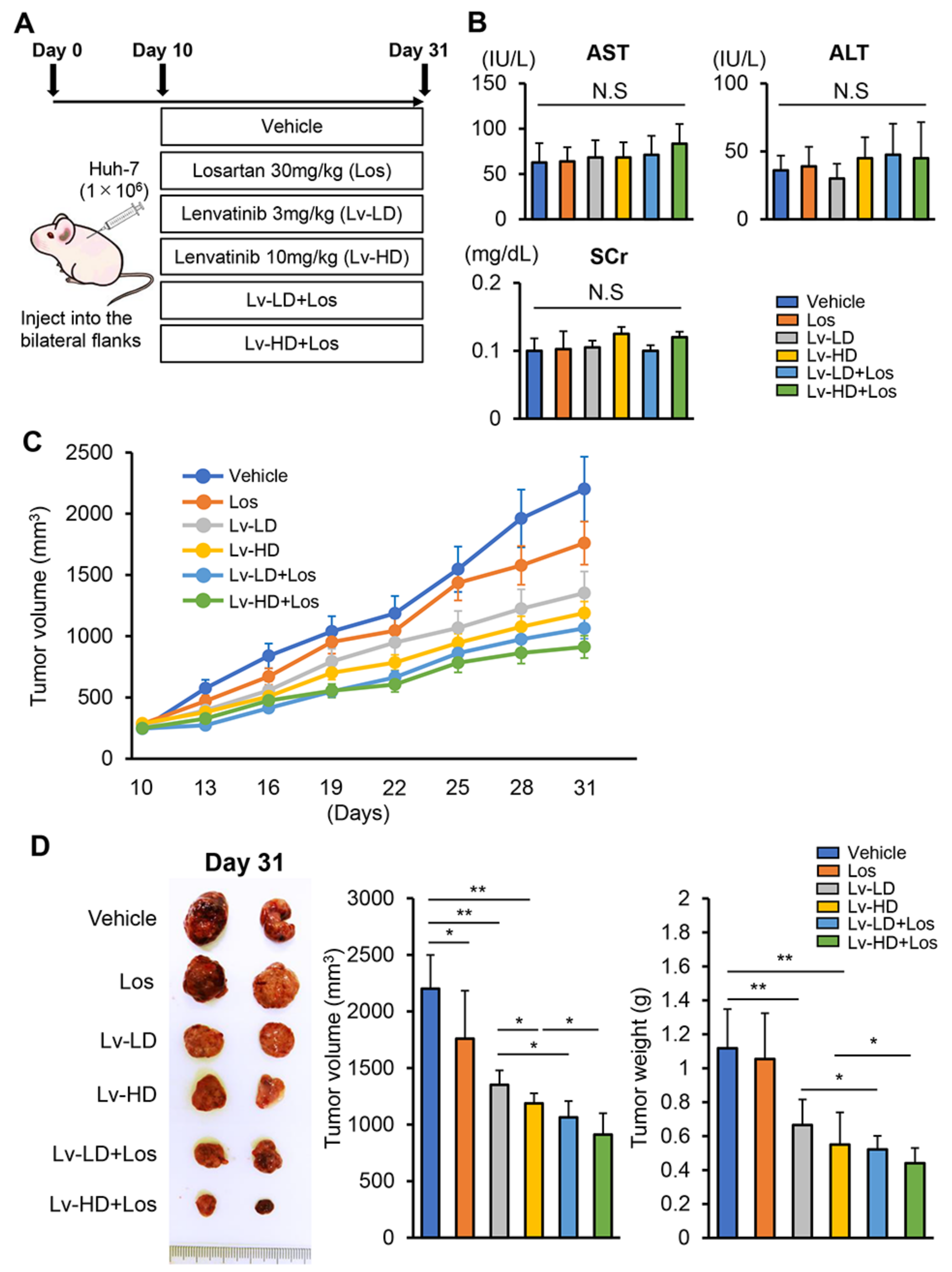Cells 10 00575 g003 Cells 10 00575 g003