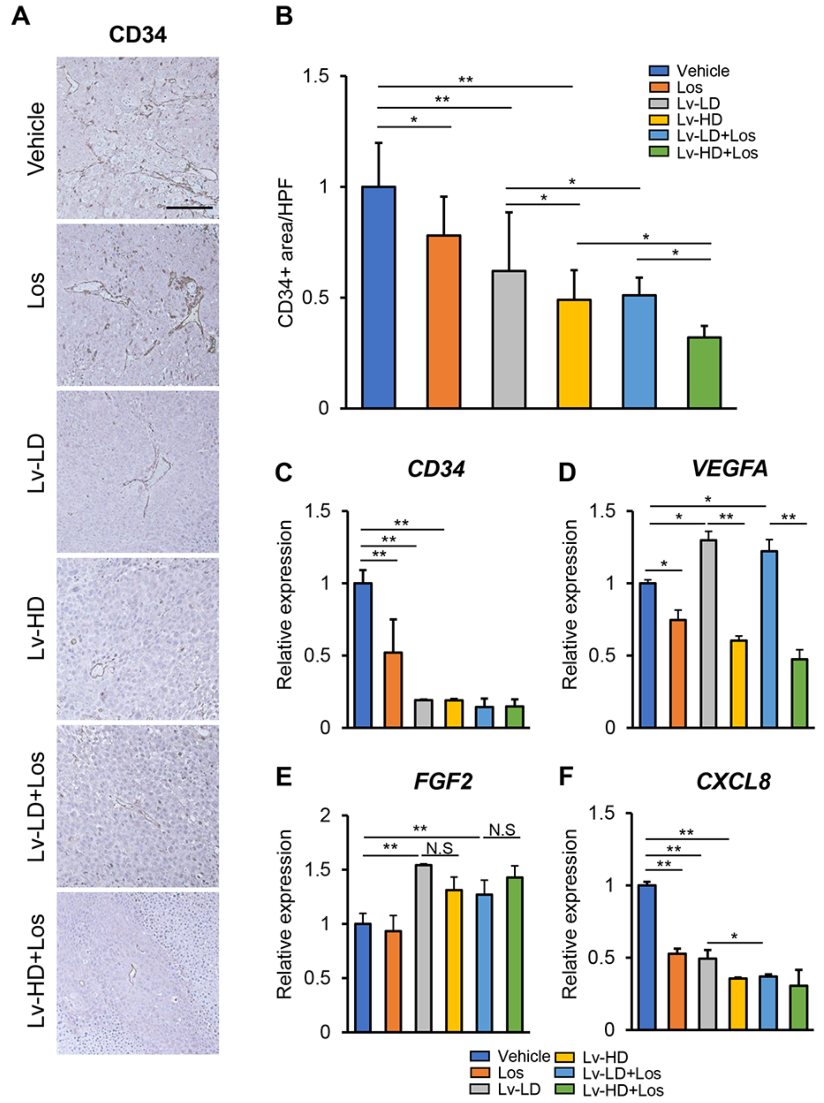 Cells 10 00575 g005 Cells 10 00575 g005