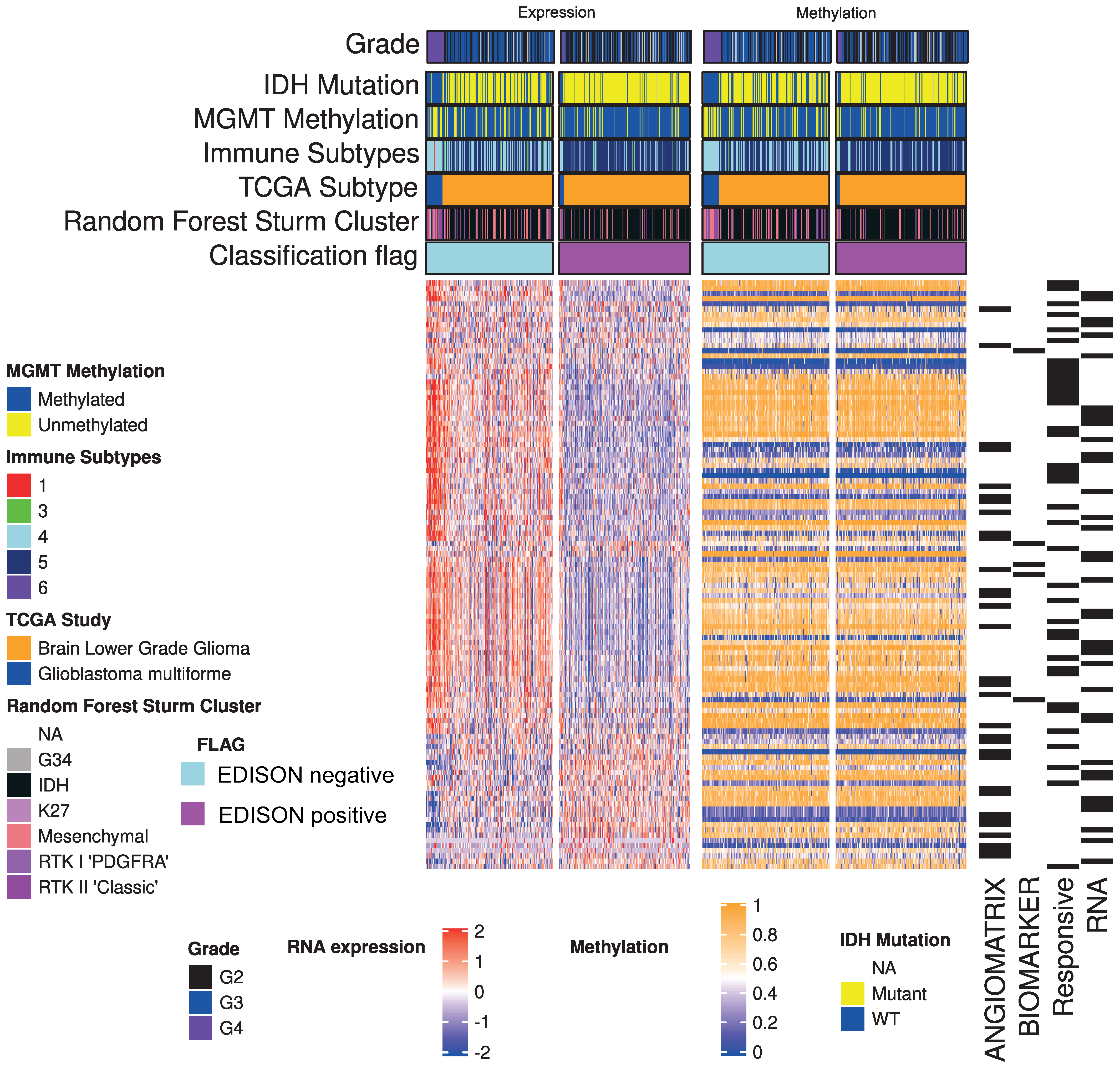 Cells 10 00576 g003 Cells 10 00576 g003