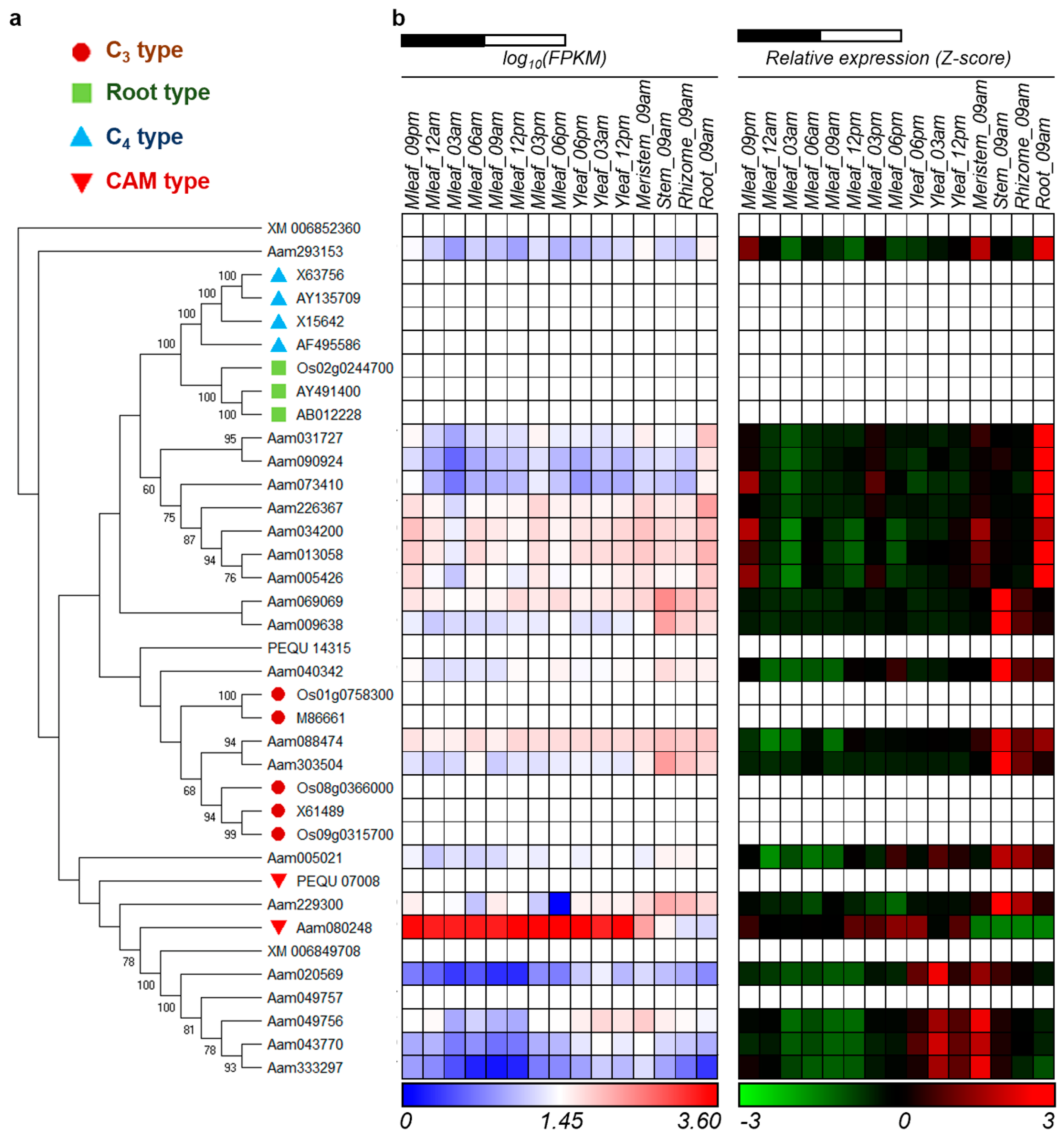 Cells 10 00582 g001 Cells 10 00582 g001