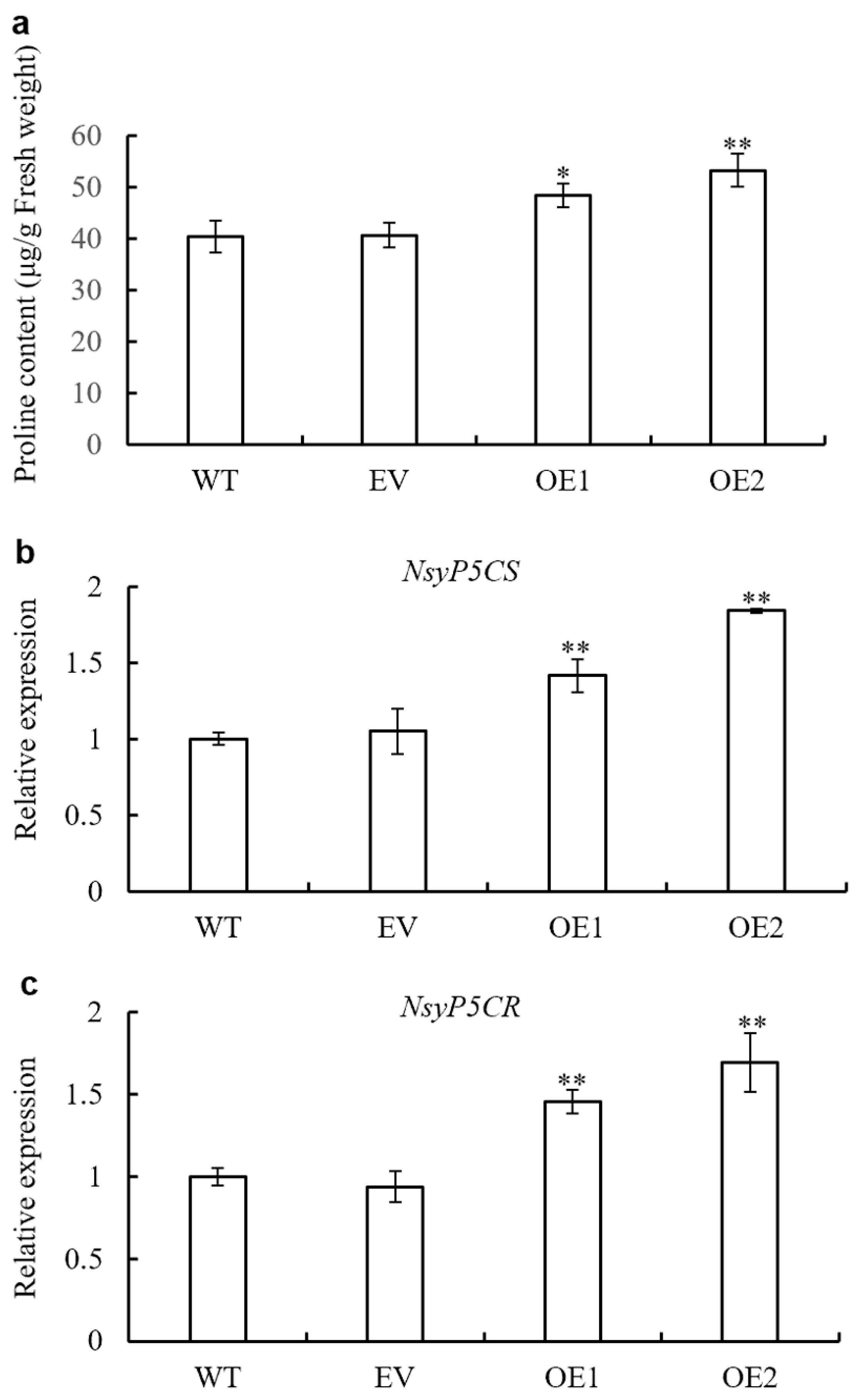 Cells 10 00582 g008 Cells 10 00582 g008