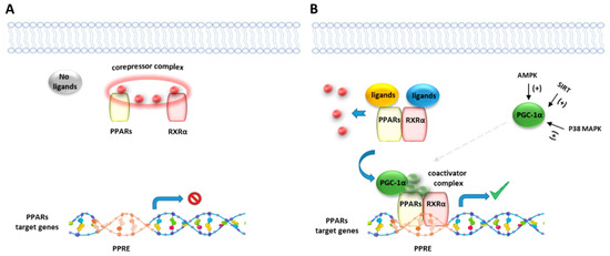Cells 10 00586 g002 550