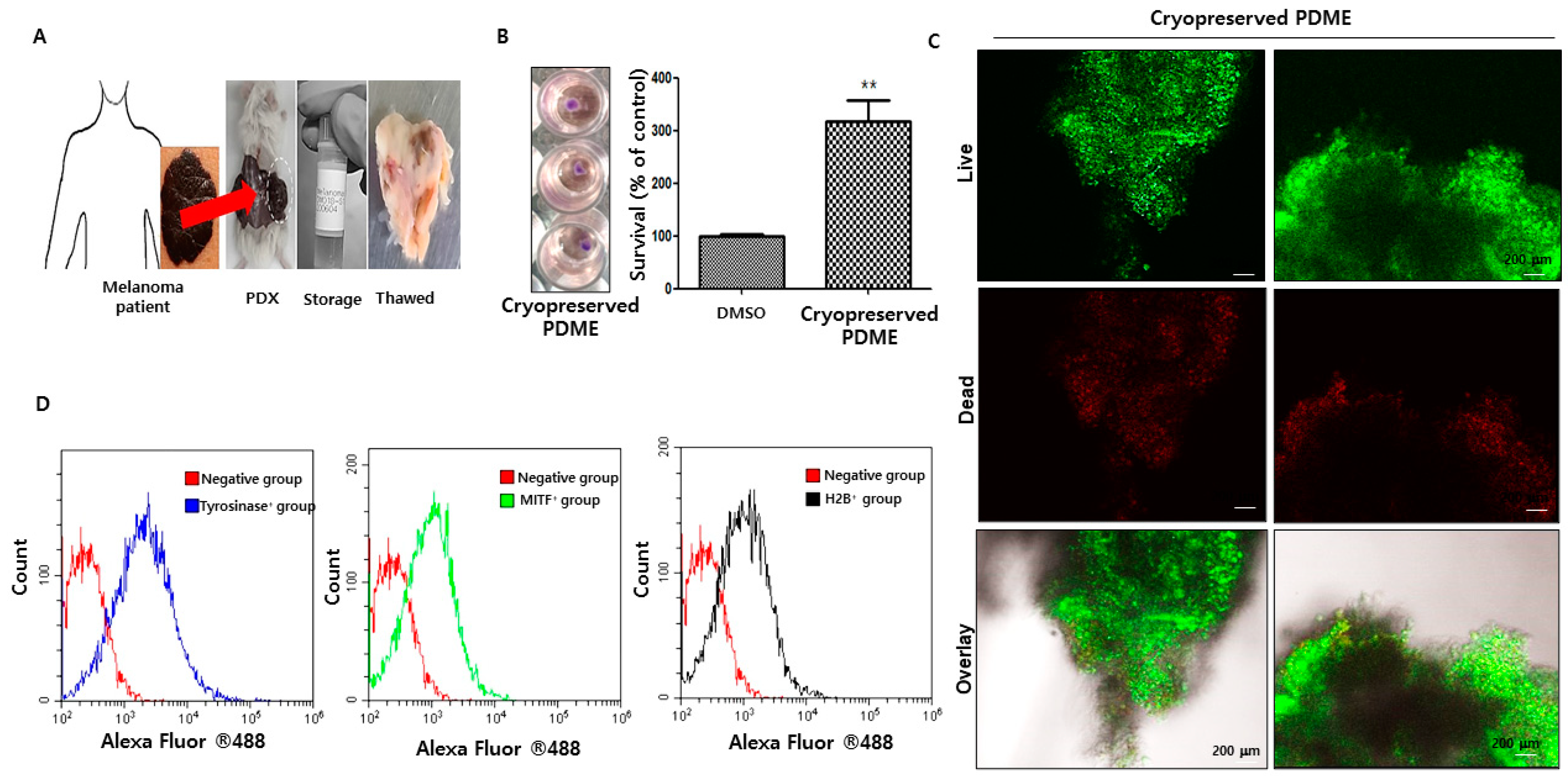 Cells 10 00589 g001 Cells 10 00589 g001