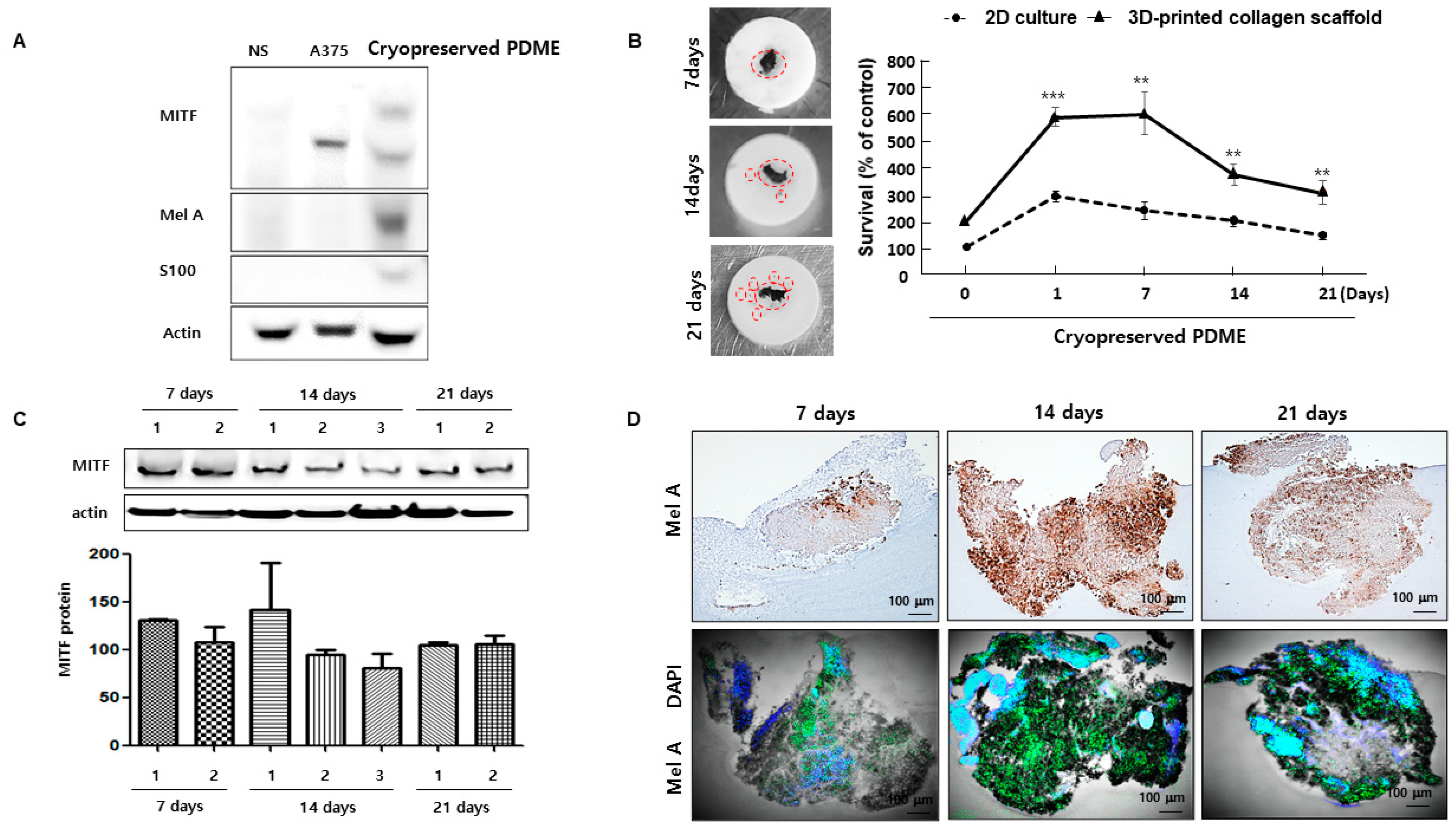 Cells 10 00589 g004 Cells 10 00589 g004