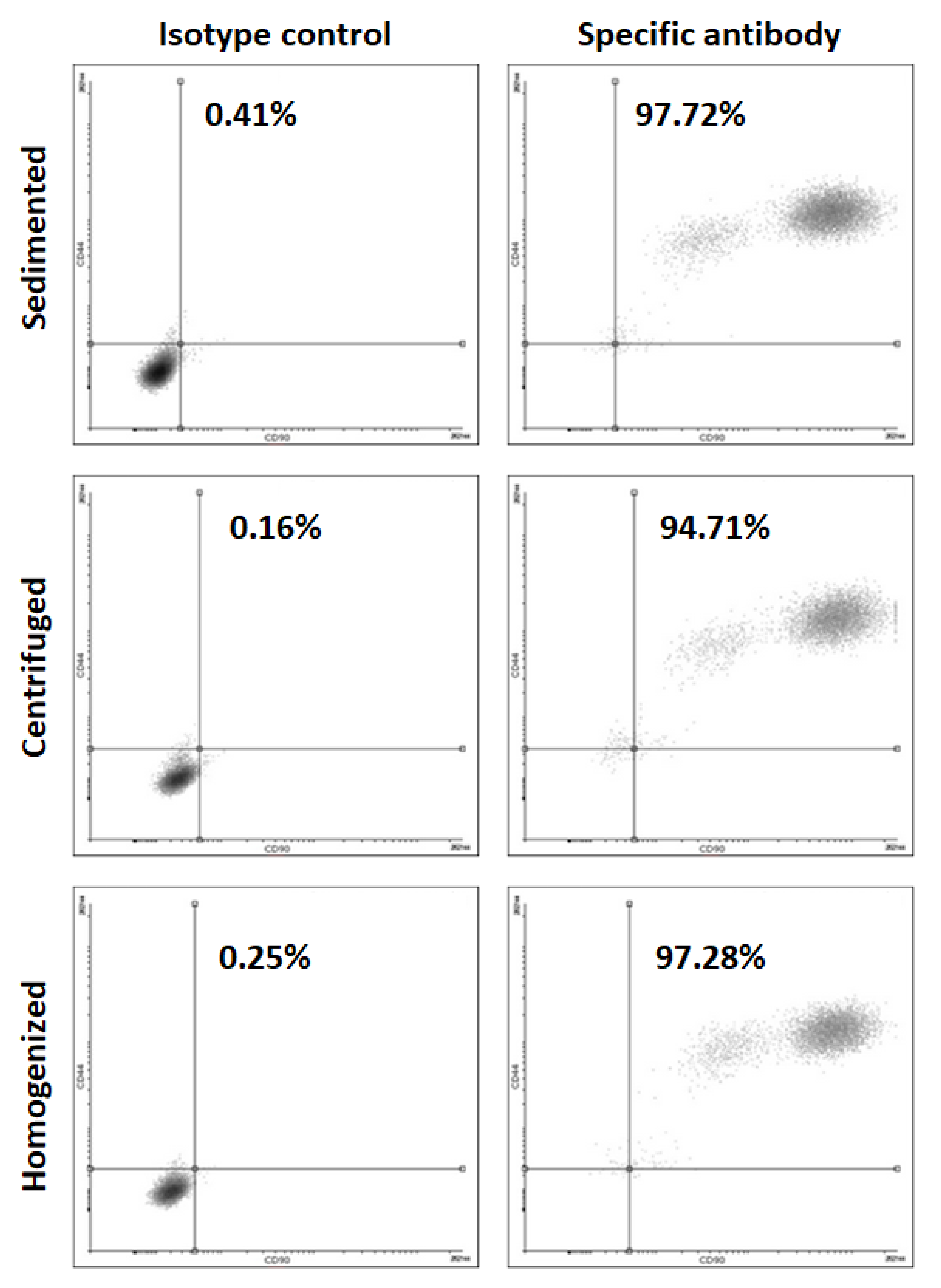 Cells | Free Full-Text | Facial Rejuvenation with Concentrated 超歓迎された パトリック サンガ― ホワイト サイズ44 スニーカー