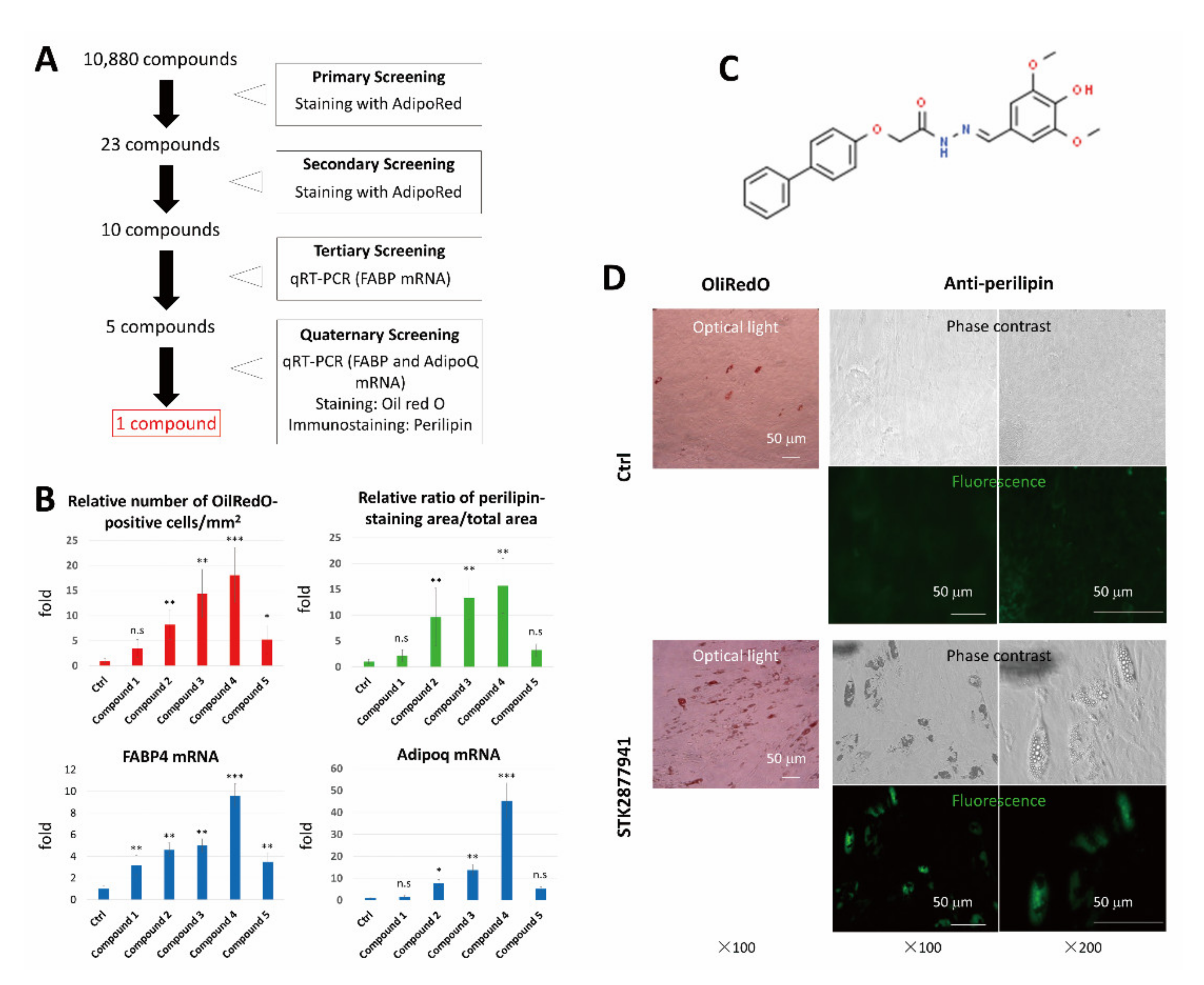 Cells 10 00605 g001 Cells 10 00605 g001
