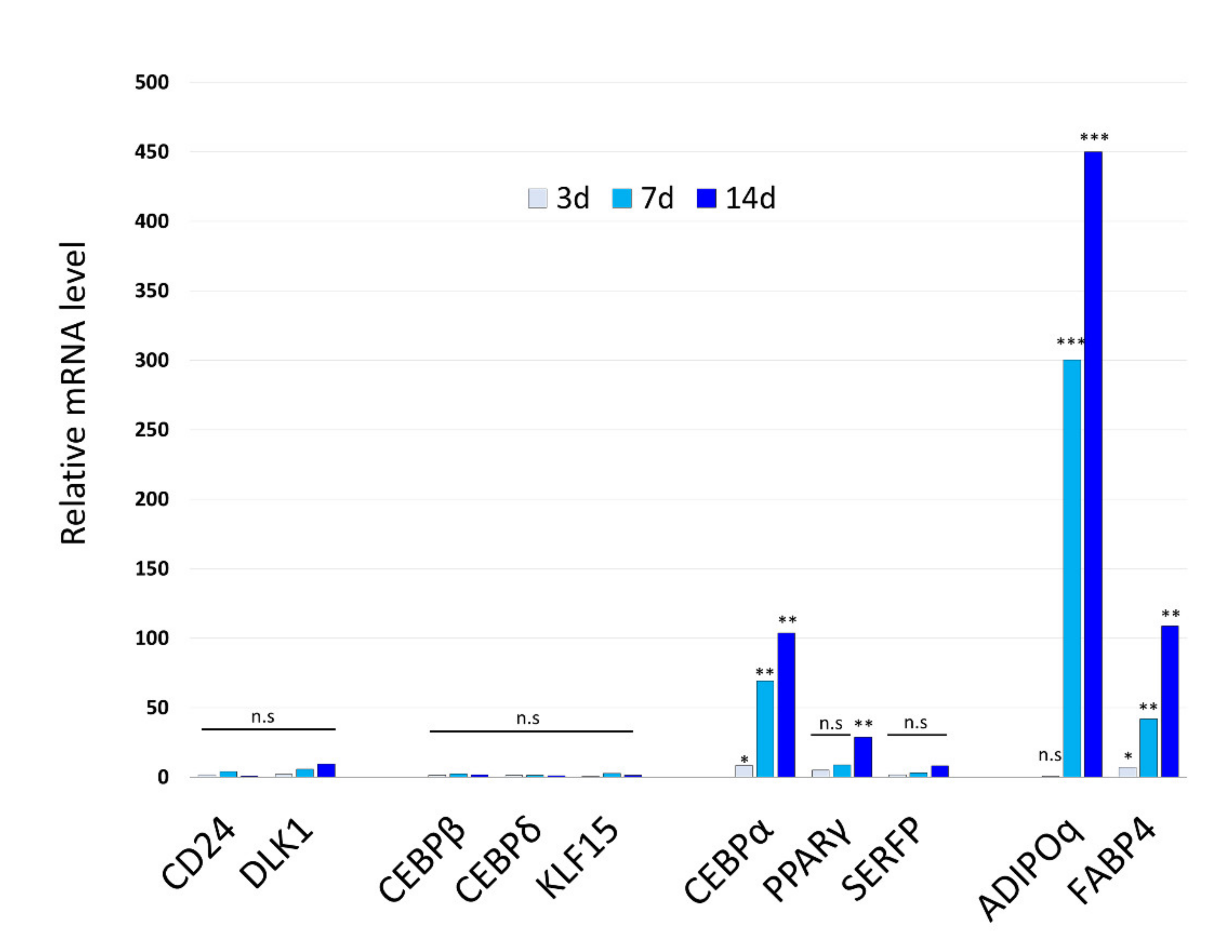 Cells 10 00605 g003 Cells 10 00605 g003