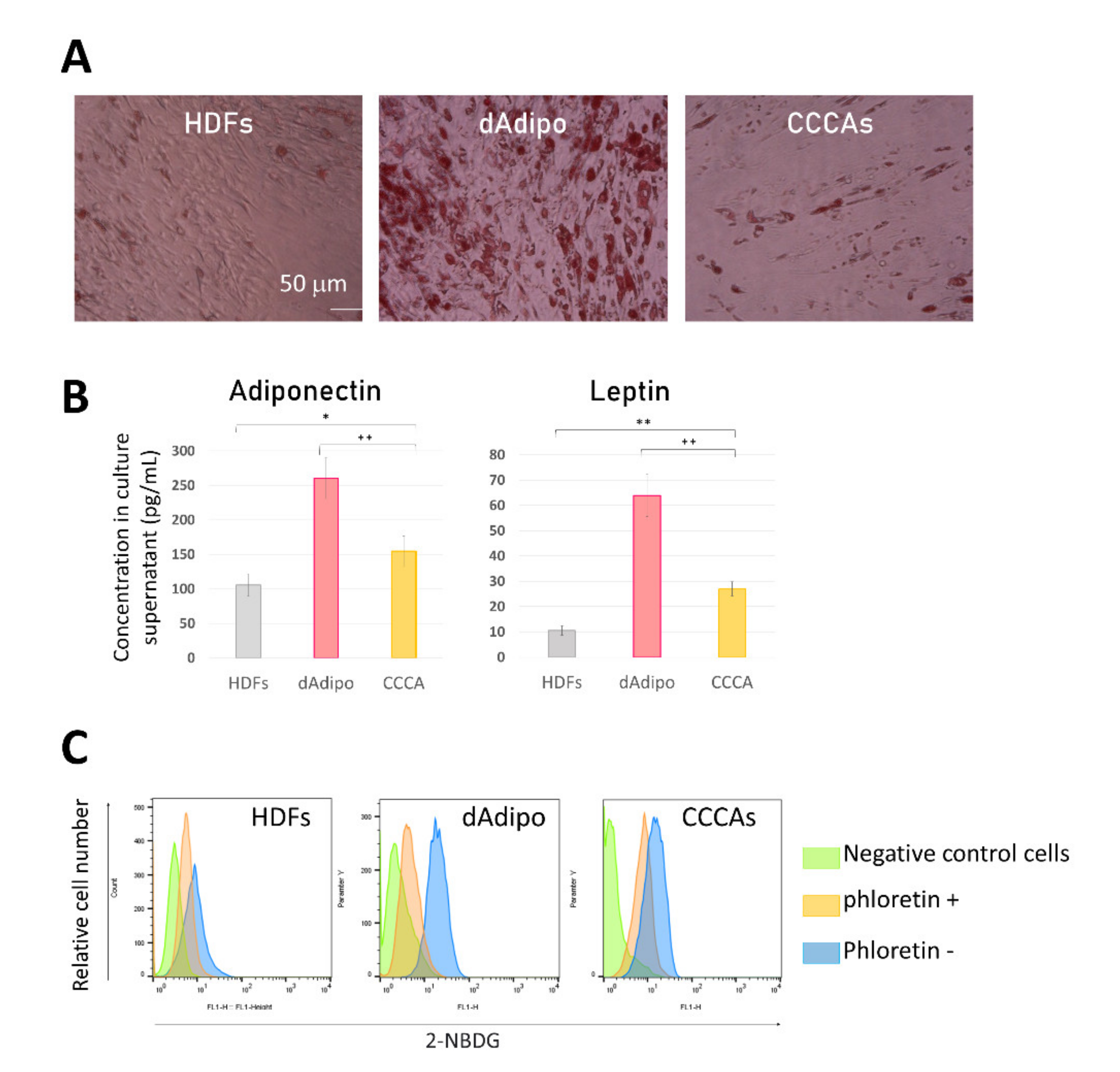Cells 10 00605 g005 Cells 10 00605 g005