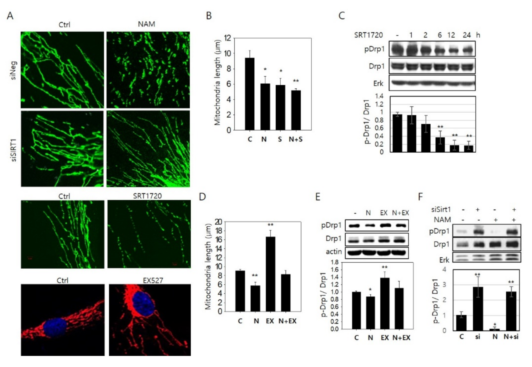 Cells 10 00612 g002 Cells 10 00612 g002