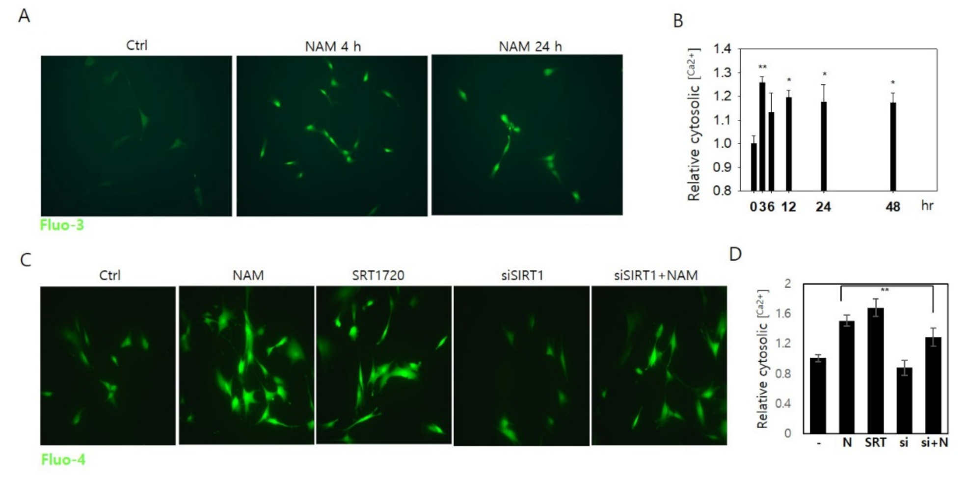Cells 10 00612 g005 Cells 10 00612 g005