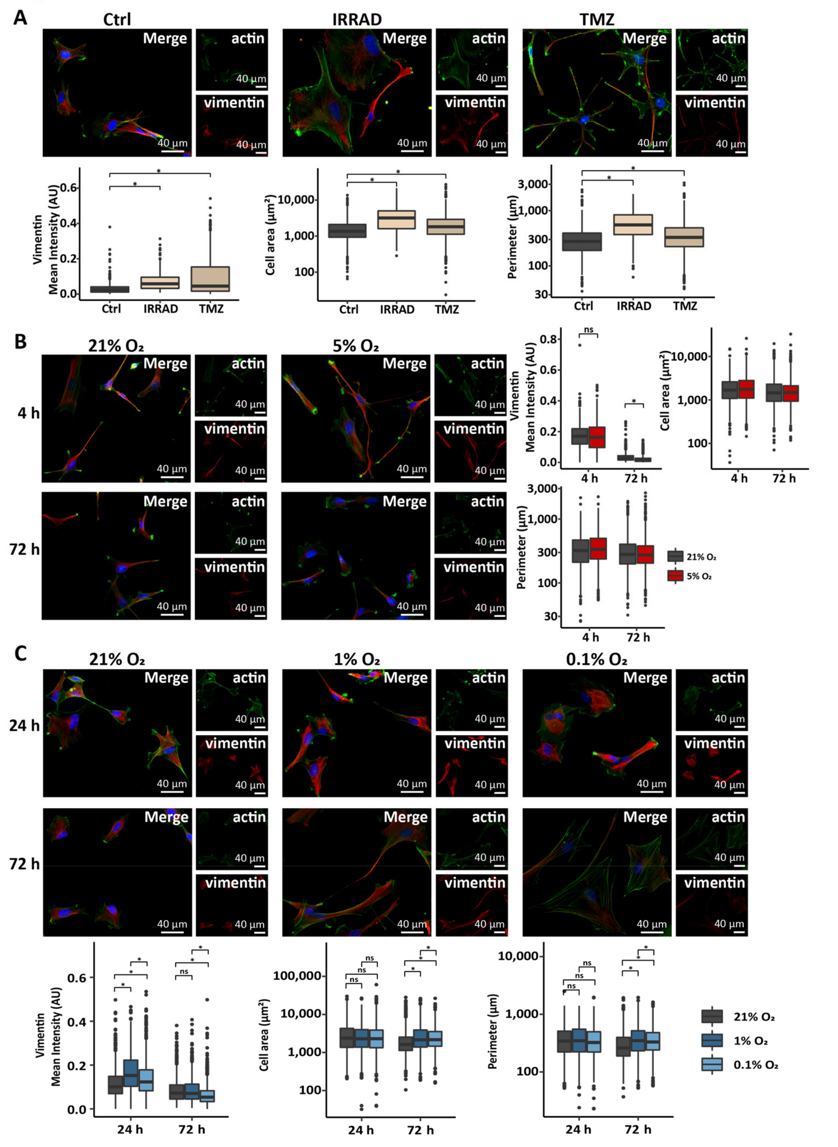 Cells 10 00613 g001 Cells 10 00613 g001