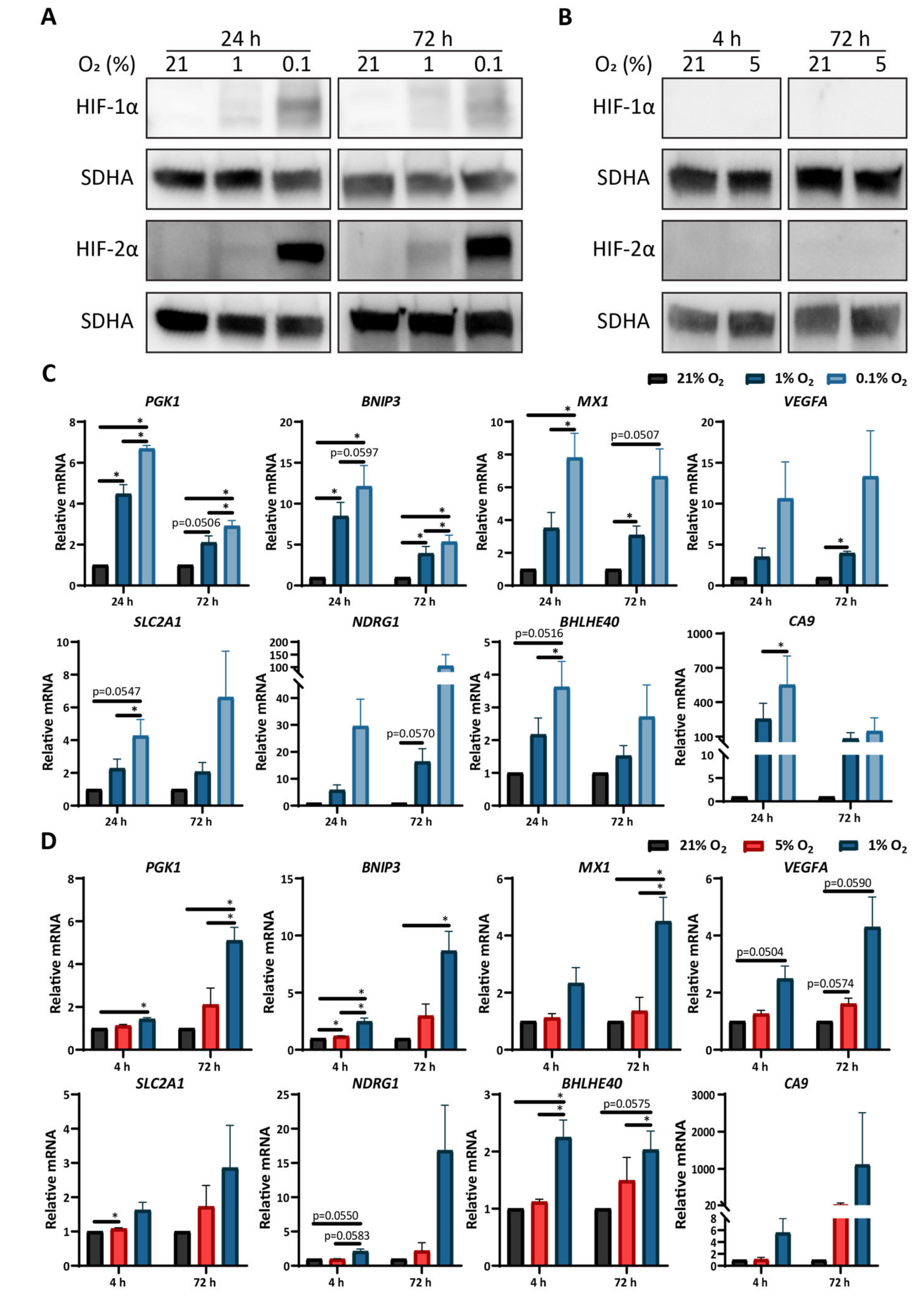 Cells 10 00613 g002 Cells 10 00613 g002