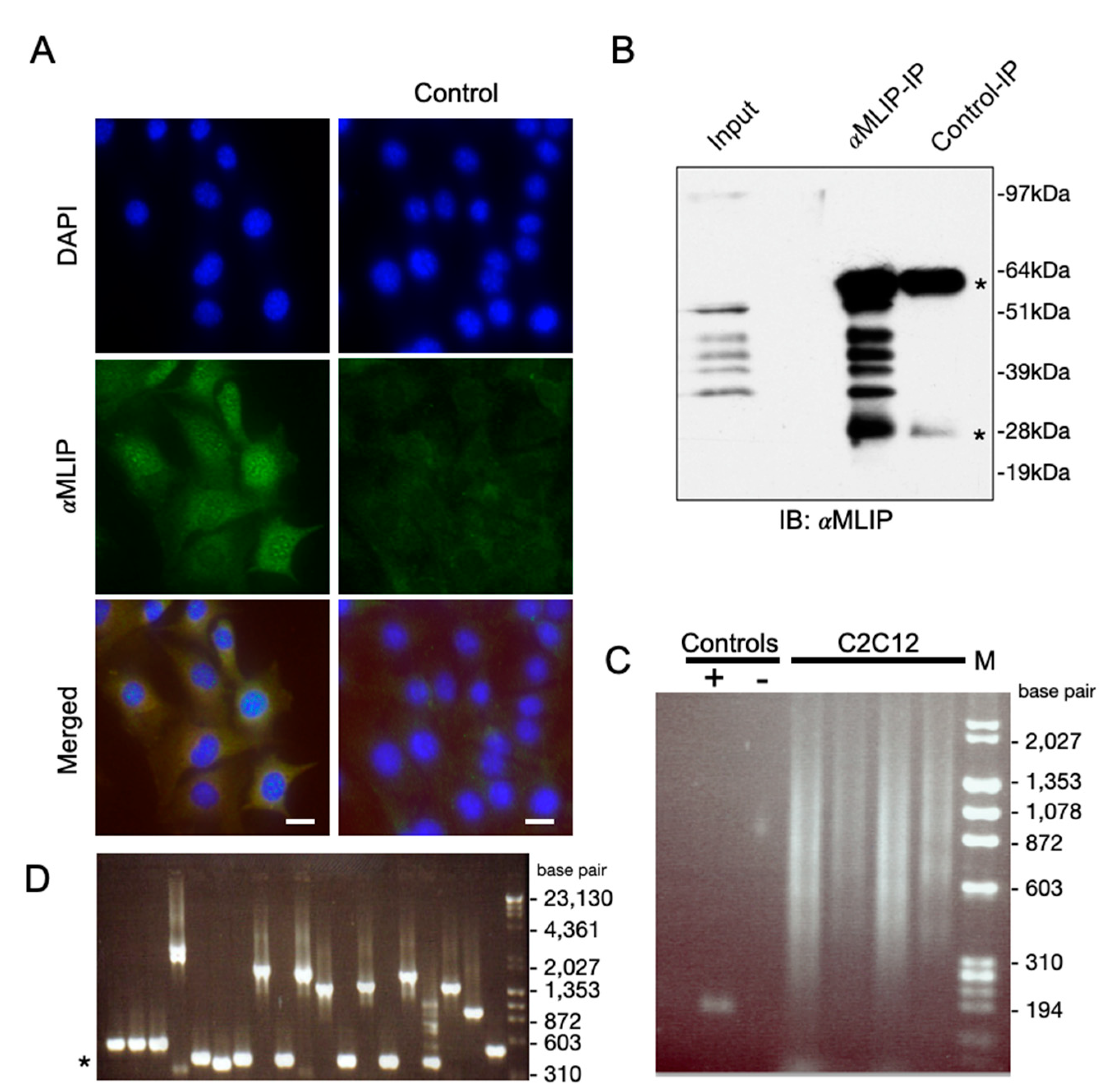 Cells 10 00615 g001 Cells 10 00615 g001